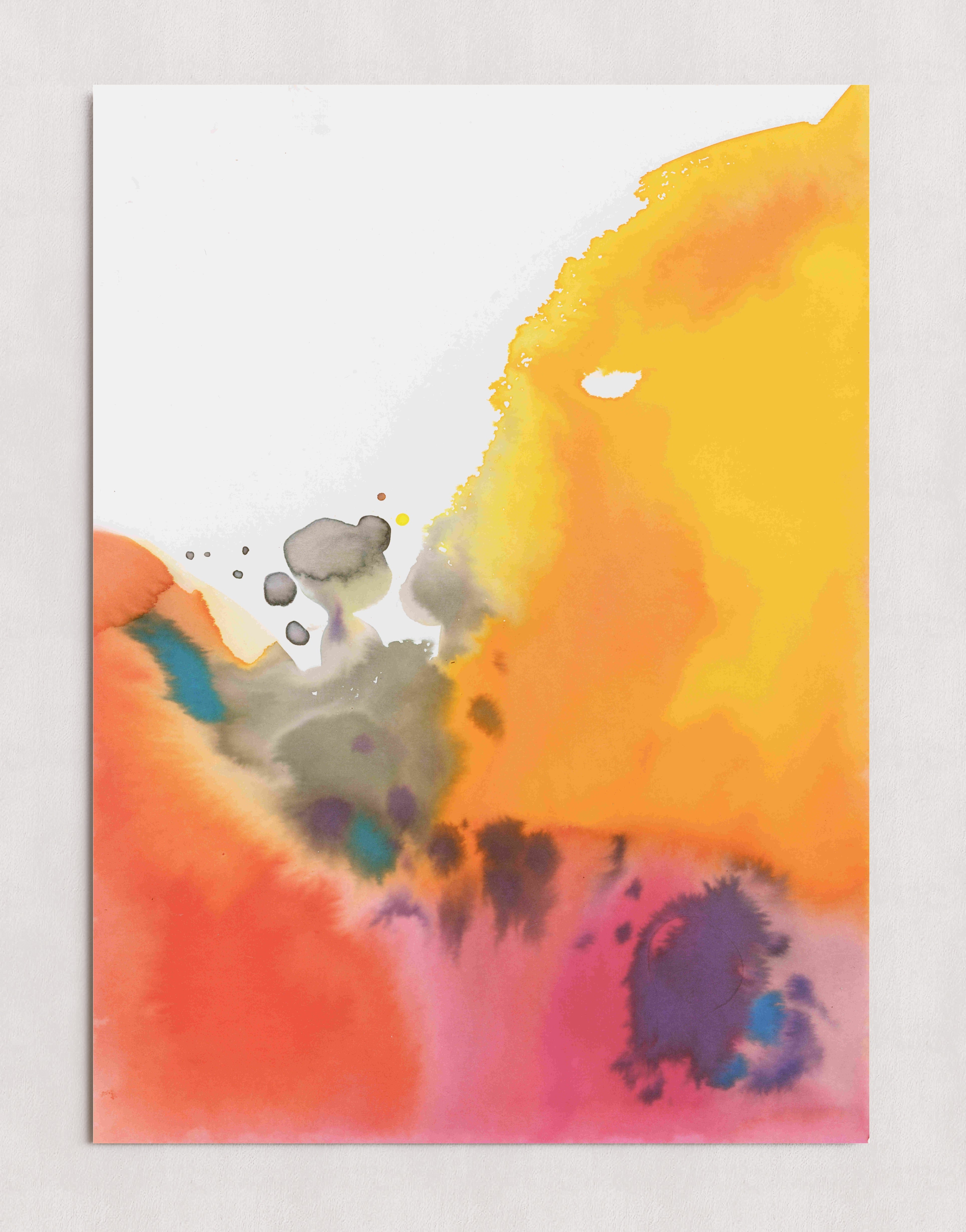 MPPR-0000-0000-0000-20X30-P98-0015-260625A-PITRND-005101