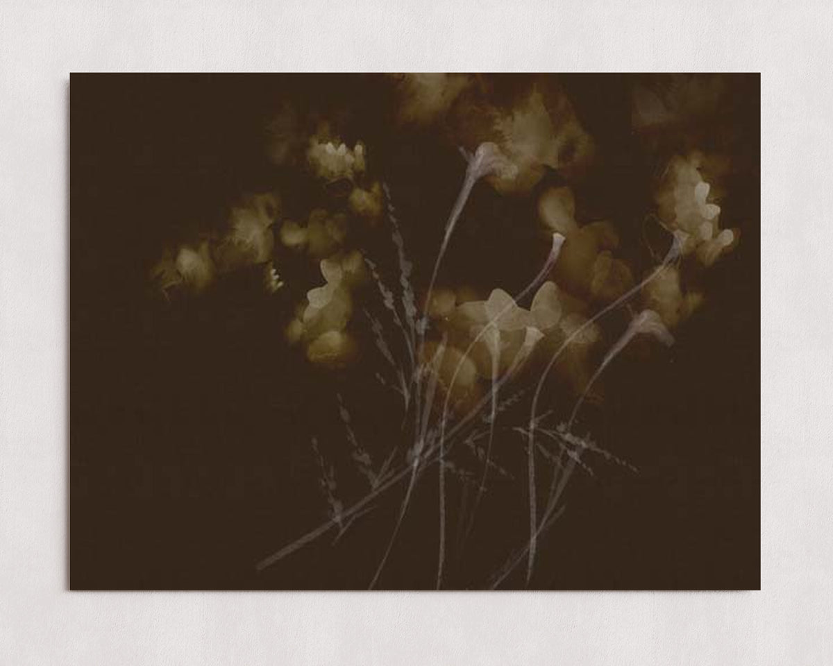 MPPR-0000-0000-0000-24X18-P00-0015-260921-PITRND-026001