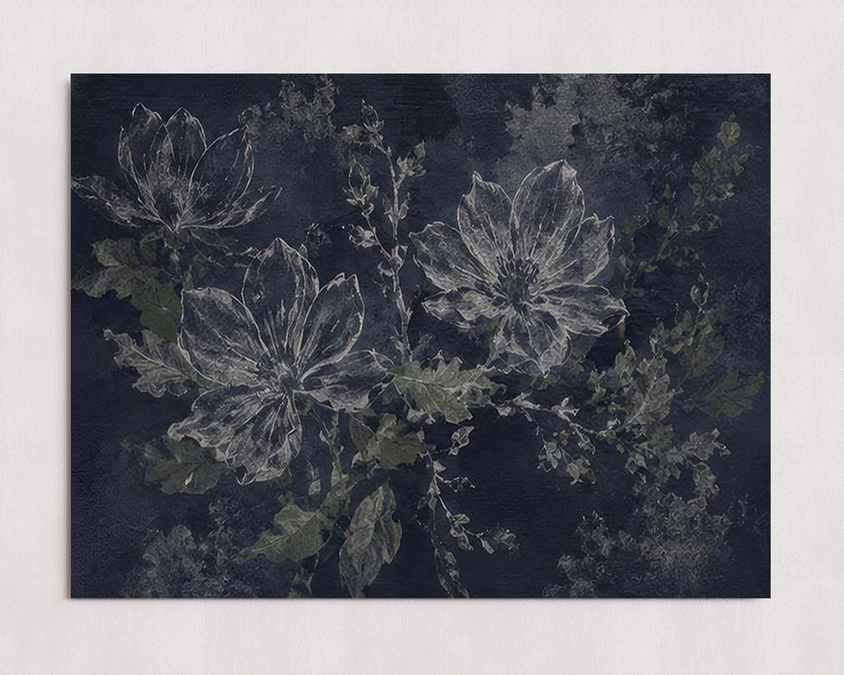 MPPR-0000-0000-0000-24X18-P01-0184-260704-IREORL-061501