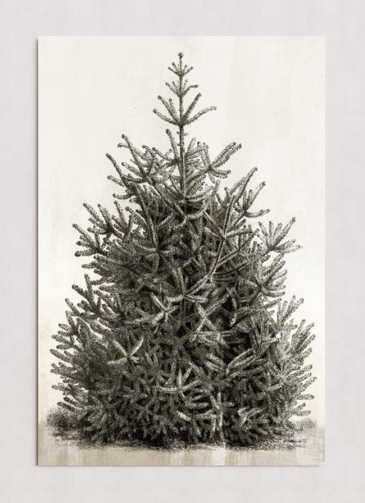 MPPR-0000-0000-0000-24X36-P00-0107-210126-PISTUX-017101