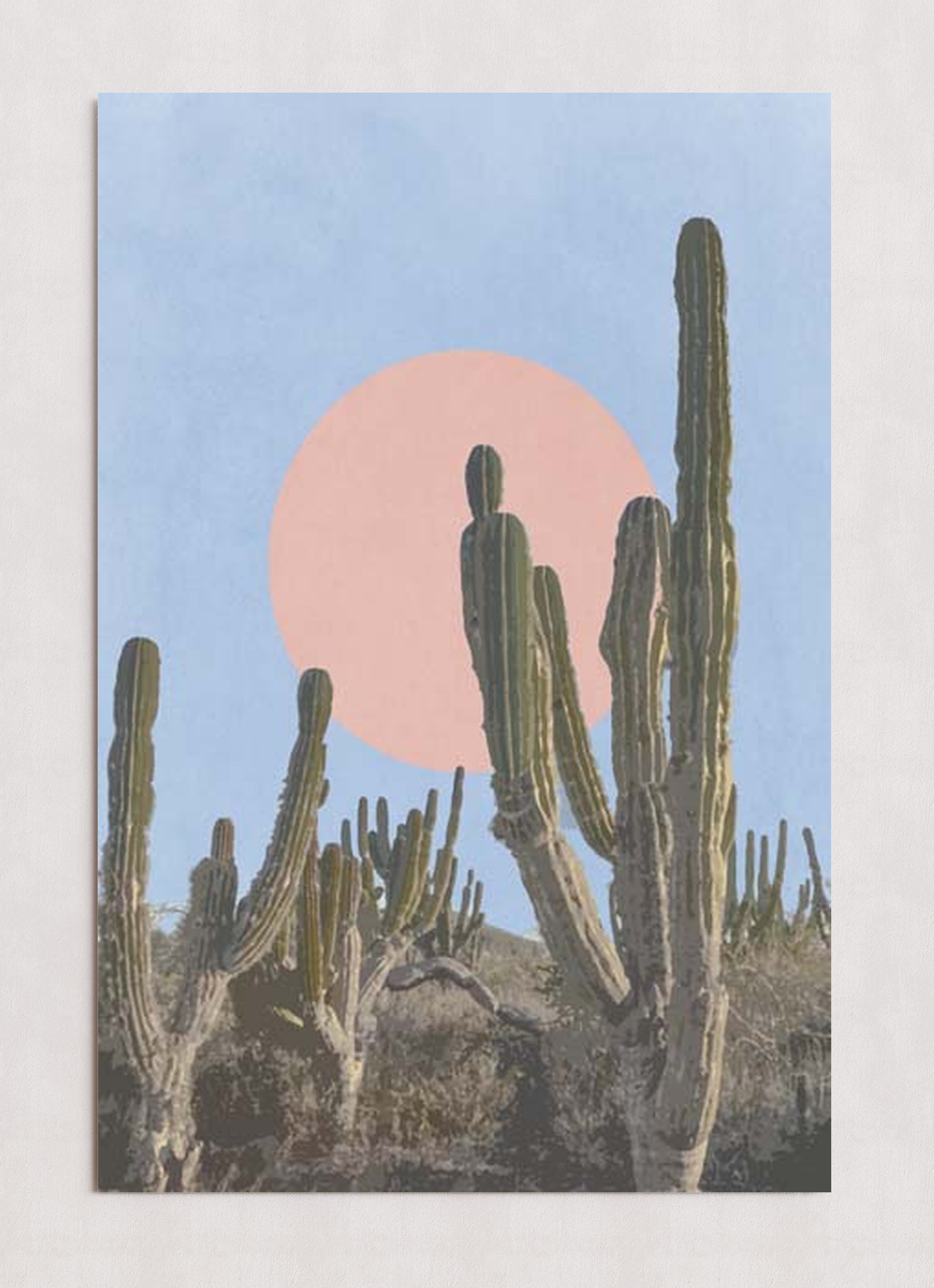 MPPR-0000-0000-0000-24X36-P01-0175-230206-NORSTE-071601