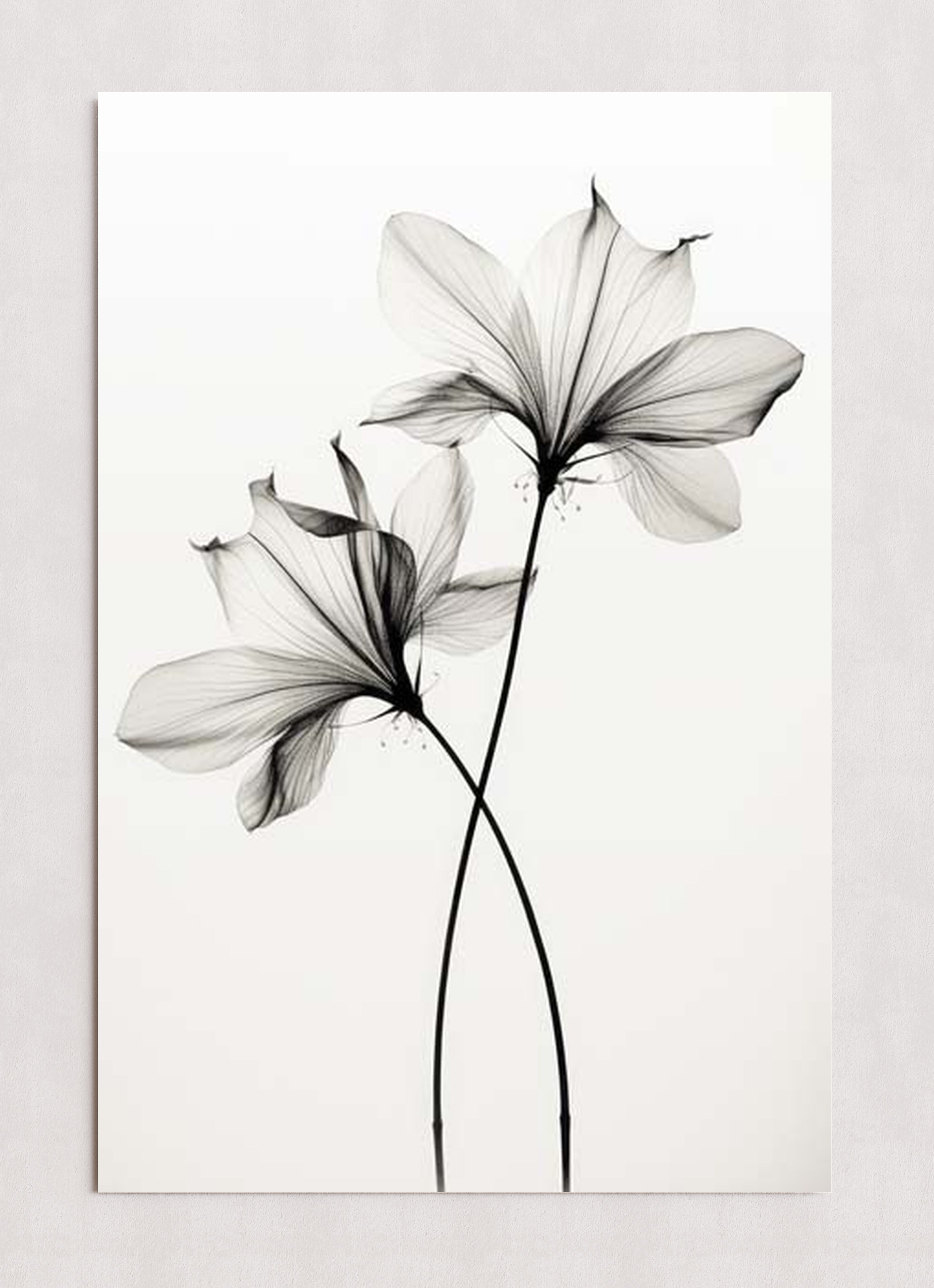 MPPR-0000-0000-0000-24X36-P01-0190-260330-1XXXXX-140201