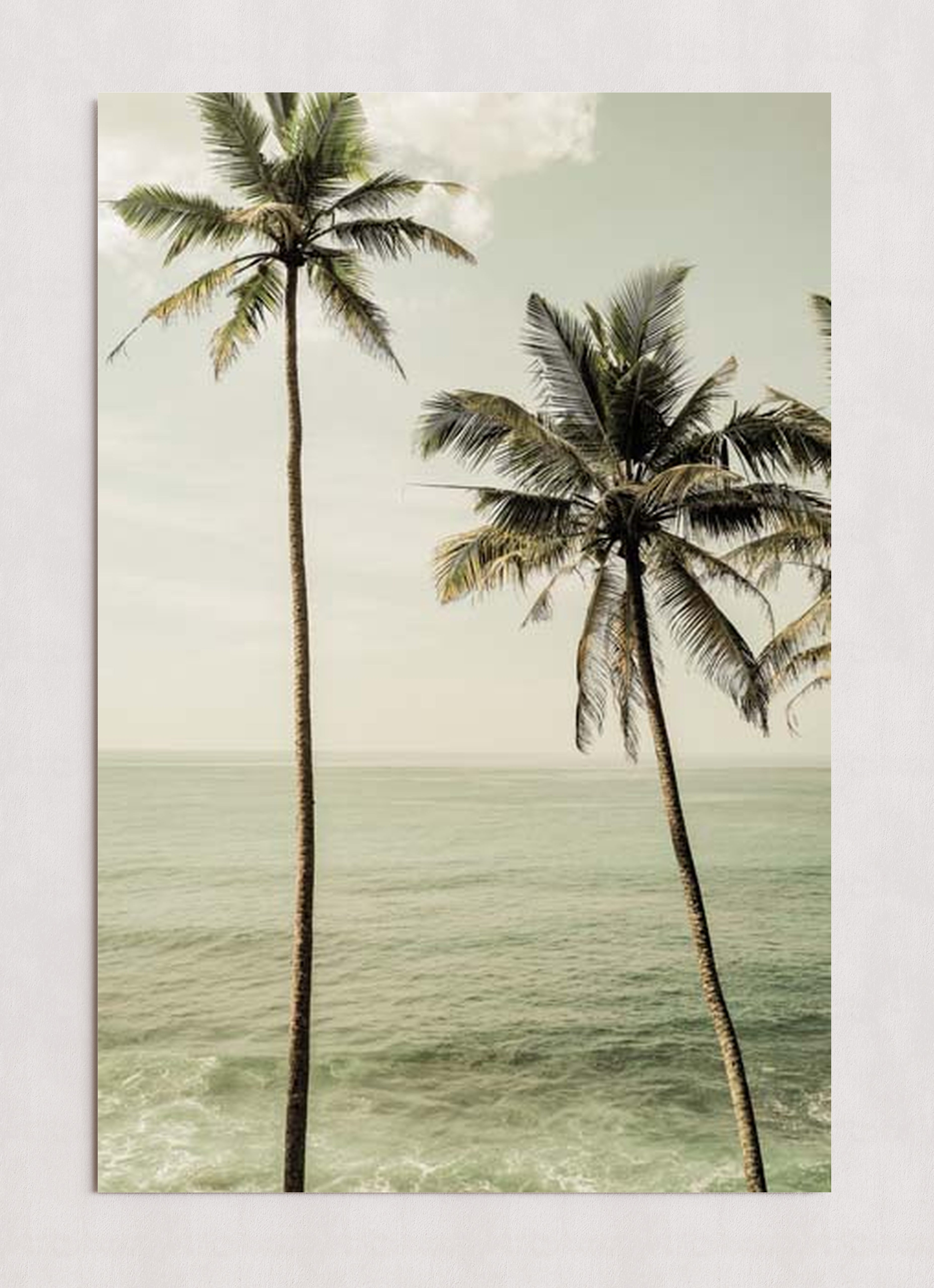 MPPR-0000-0000-0000-24X36-P01-0190-260601-1XXXXX-158601