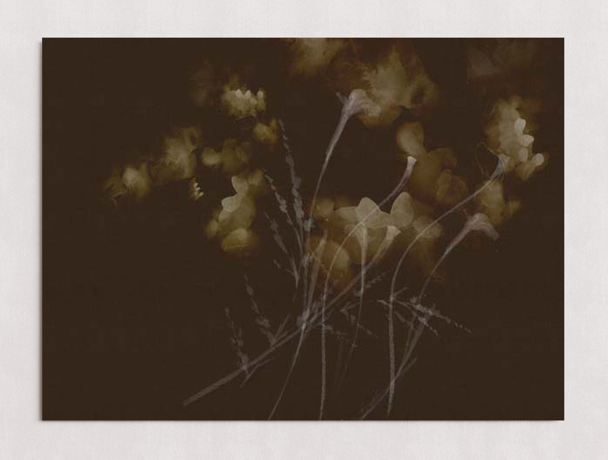 MPPR-0000-0000-0000-30X20-P00-0015-260921-PITRND-026001