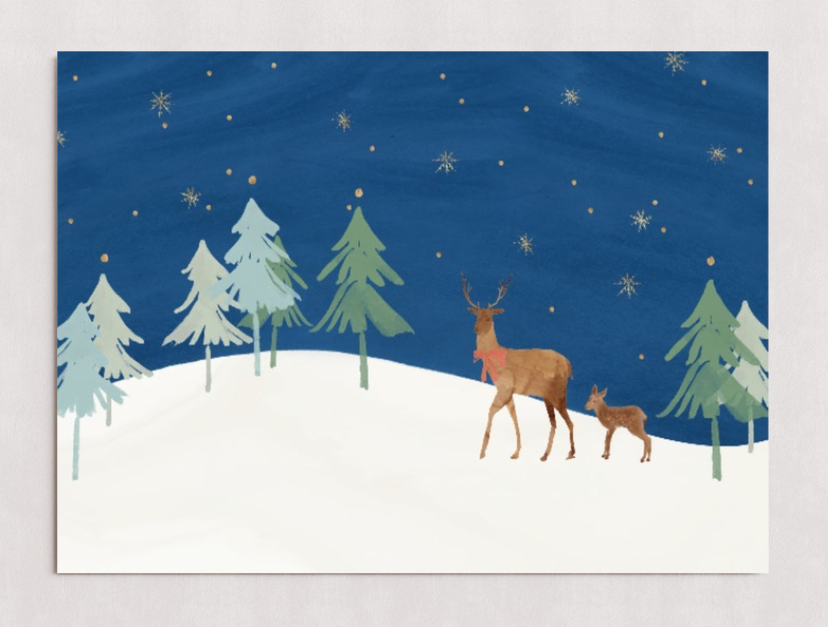 MPPR-0000-0000-0000-30X20-P00-0107-210126-PISTUX-023101