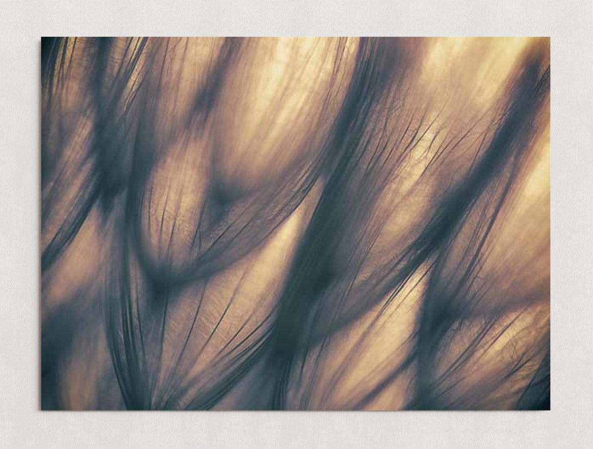 MPPR-0000-0000-0000-30X20-P01-9998-260904-1XXXX2-018701