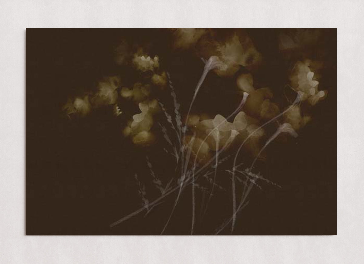 MPPR-0000-0000-0000-36X24-P00-0015-260921-PITRND-026001