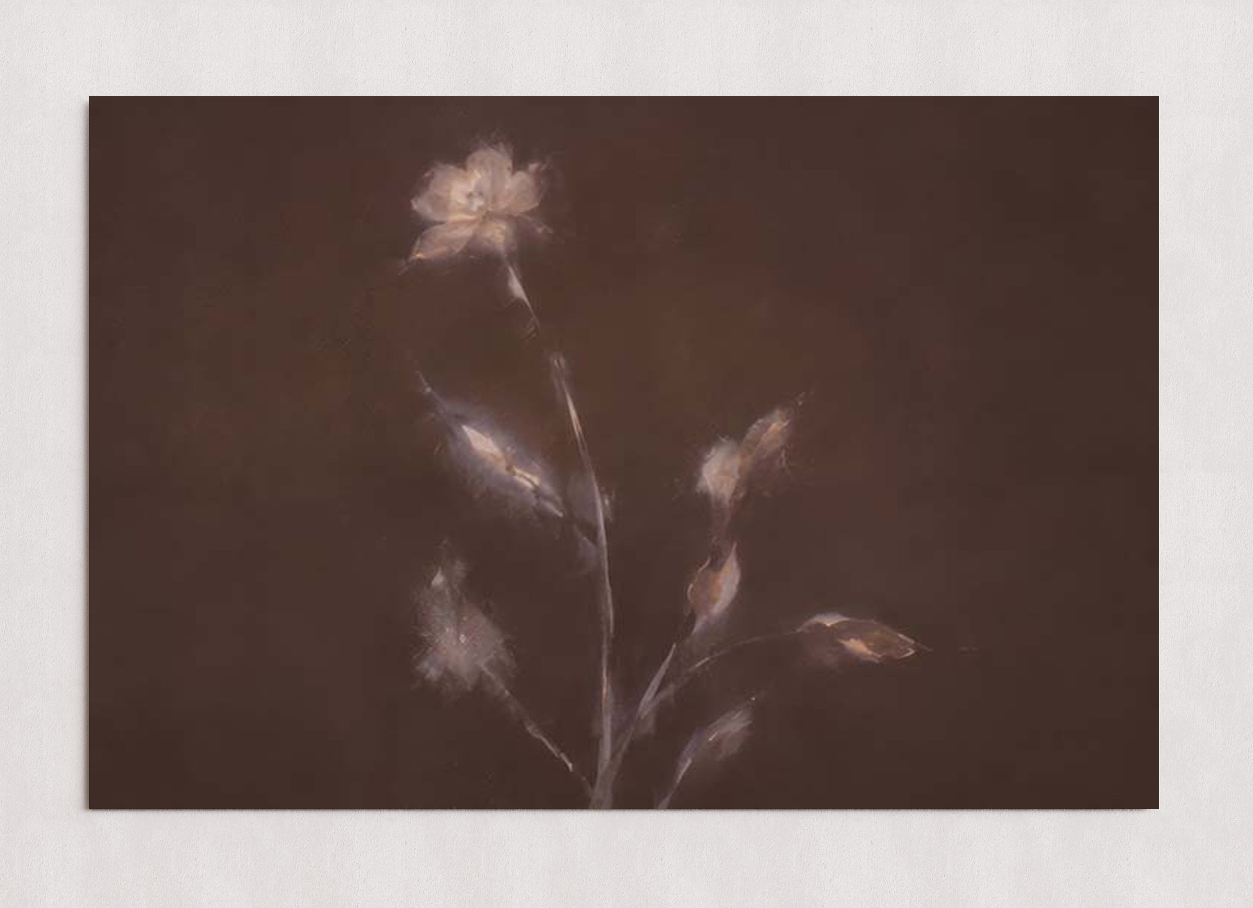 MPPR-0000-0000-0000-36X24-P01-0184-260704-IREORL-061101