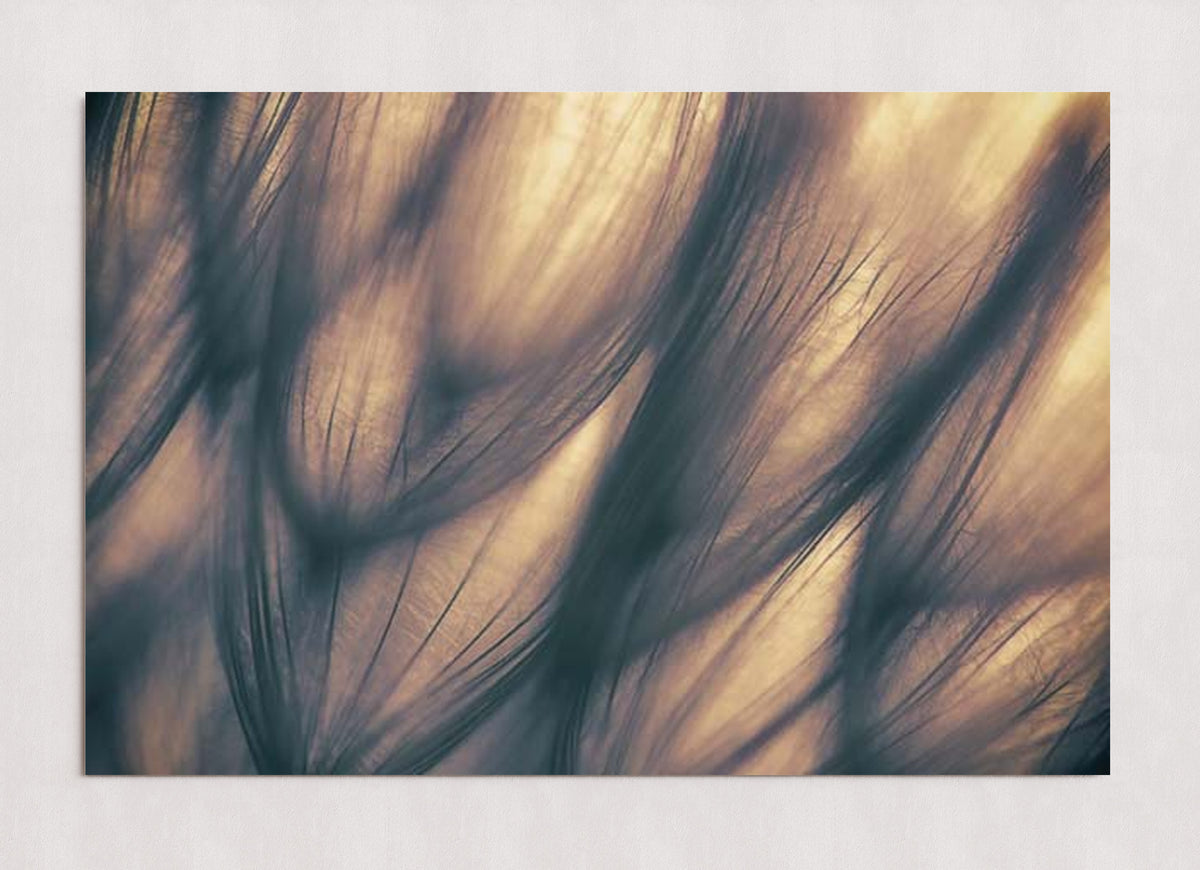 MPPR-0000-0000-0000-36X24-P01-9998-260904-1XXXX2-018701