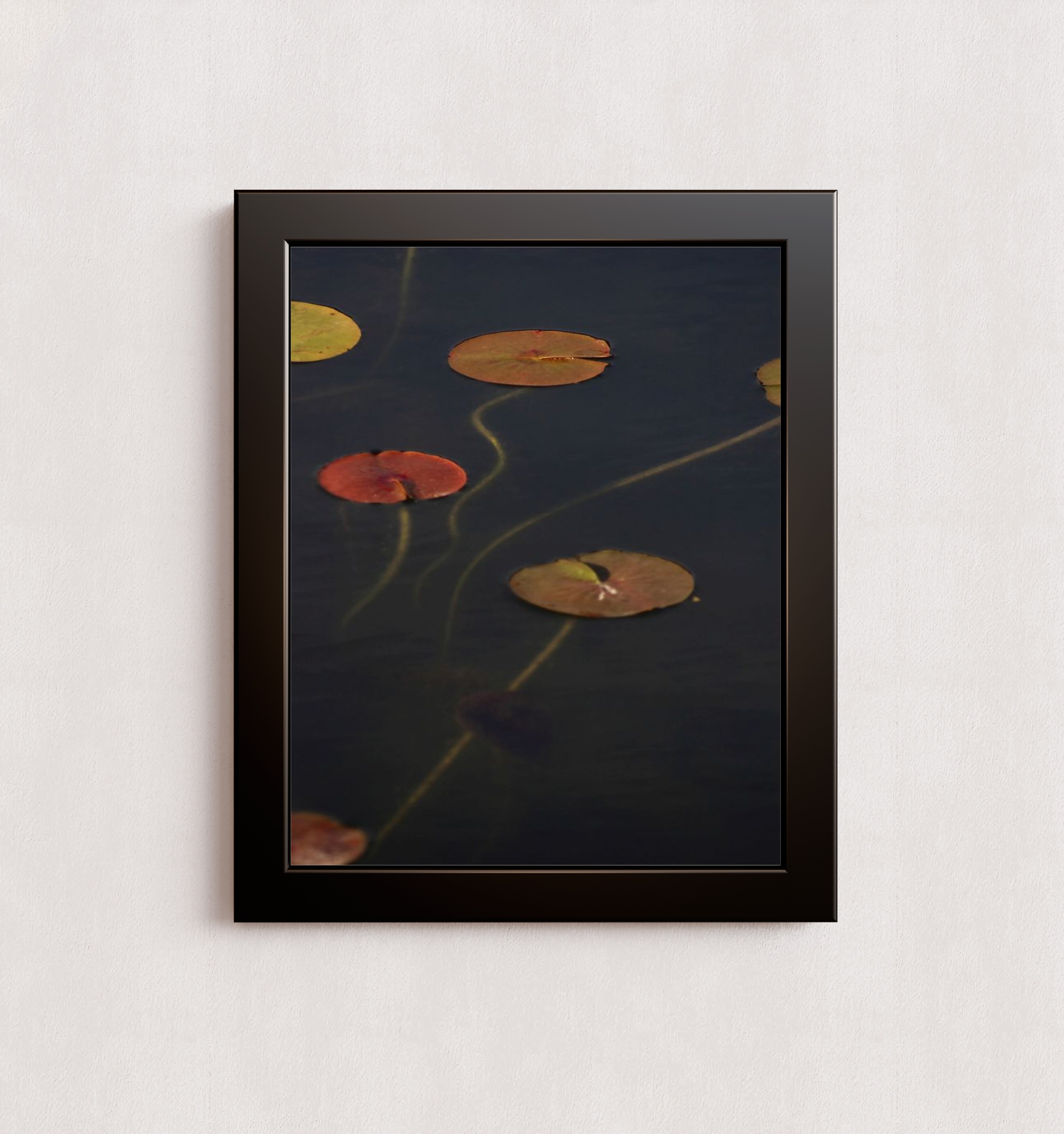 MPPR-BLKF-ACRL-0000-11X14-P01-0175-110224-NORSTE-009301