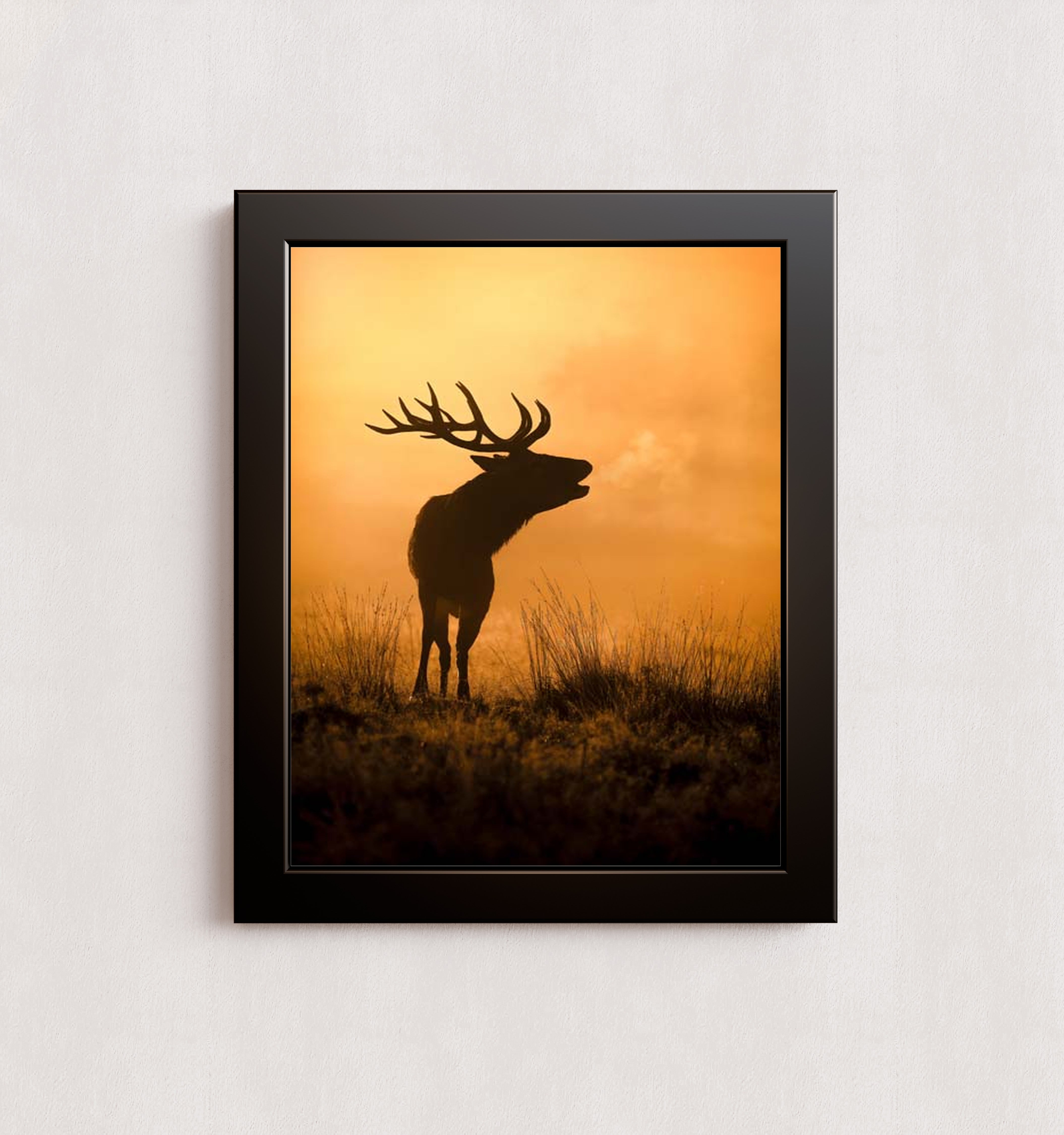 MPPR-BLKF-ACRL-0000-11X14-P01-0189-240806-1XXXXX-079401