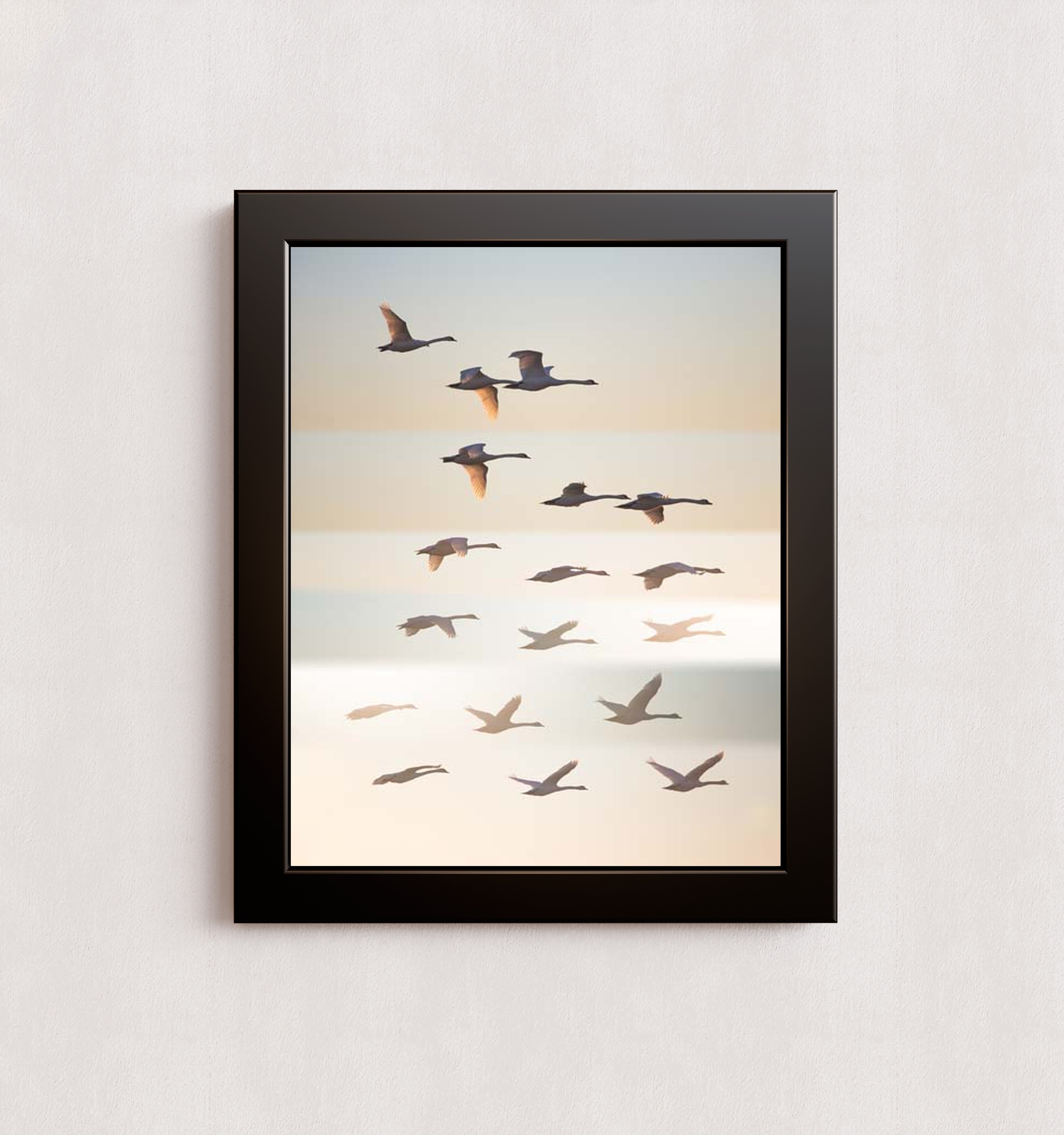 MPPR-BLKF-ACRL-0000-11X14-P01-0190-260602-1XXXXX-171501