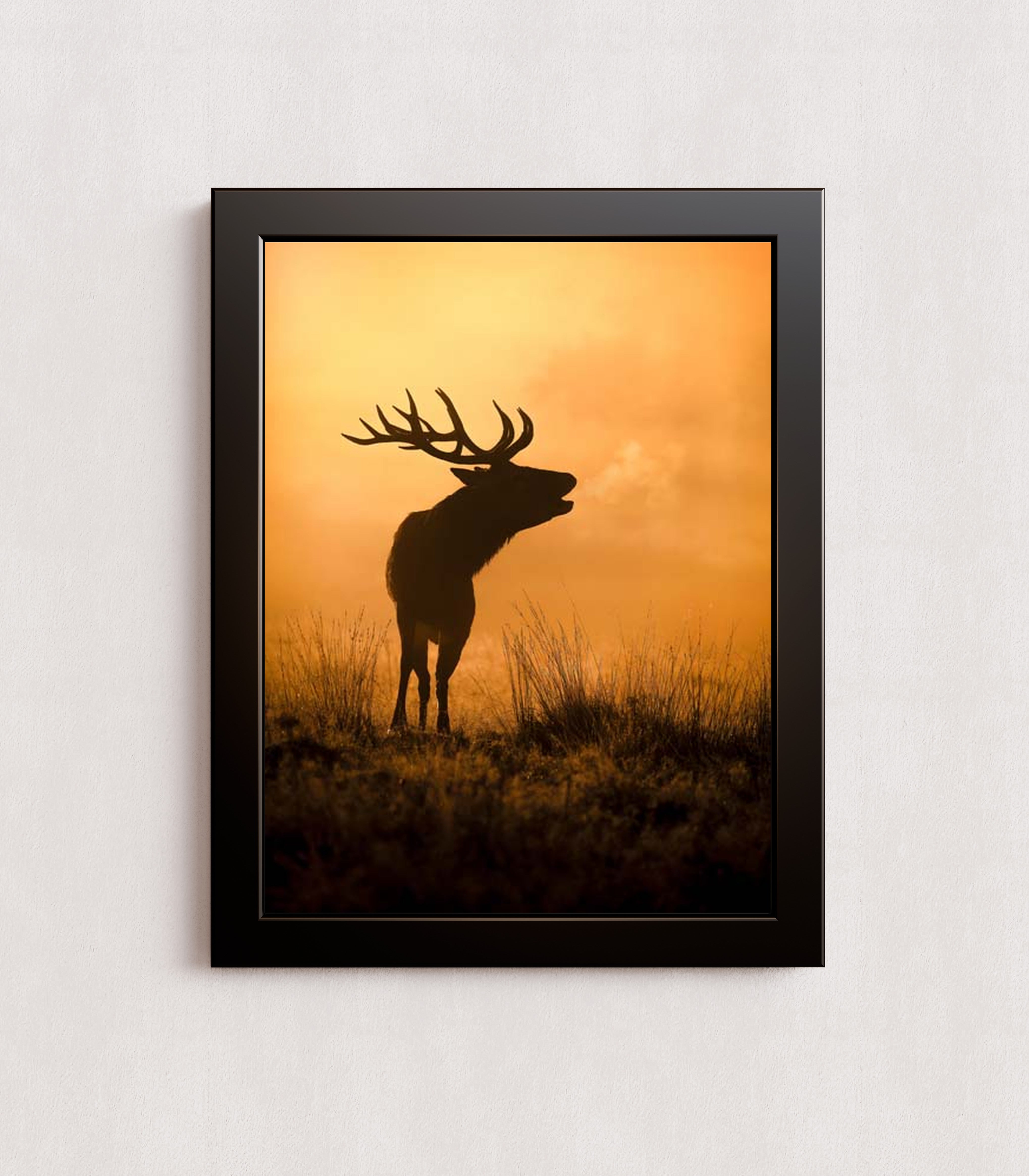 MPPR-BLKF-ACRL-0000-12X16-P01-0189-240806-1XXXXX-079401