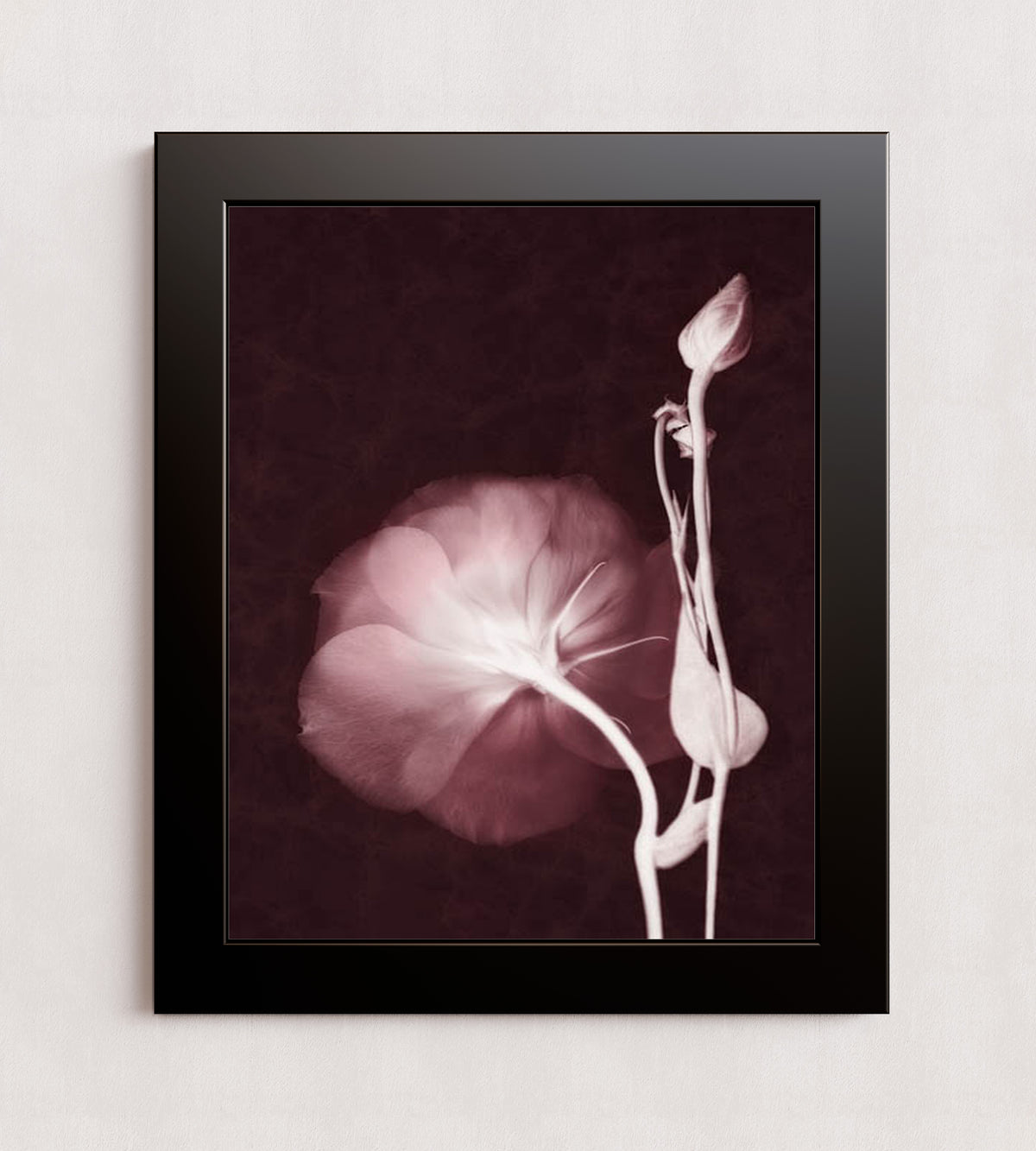 MPPR-BLKF-ACRL-0000-16X20-P01-0148-160816-LEDROB-007001