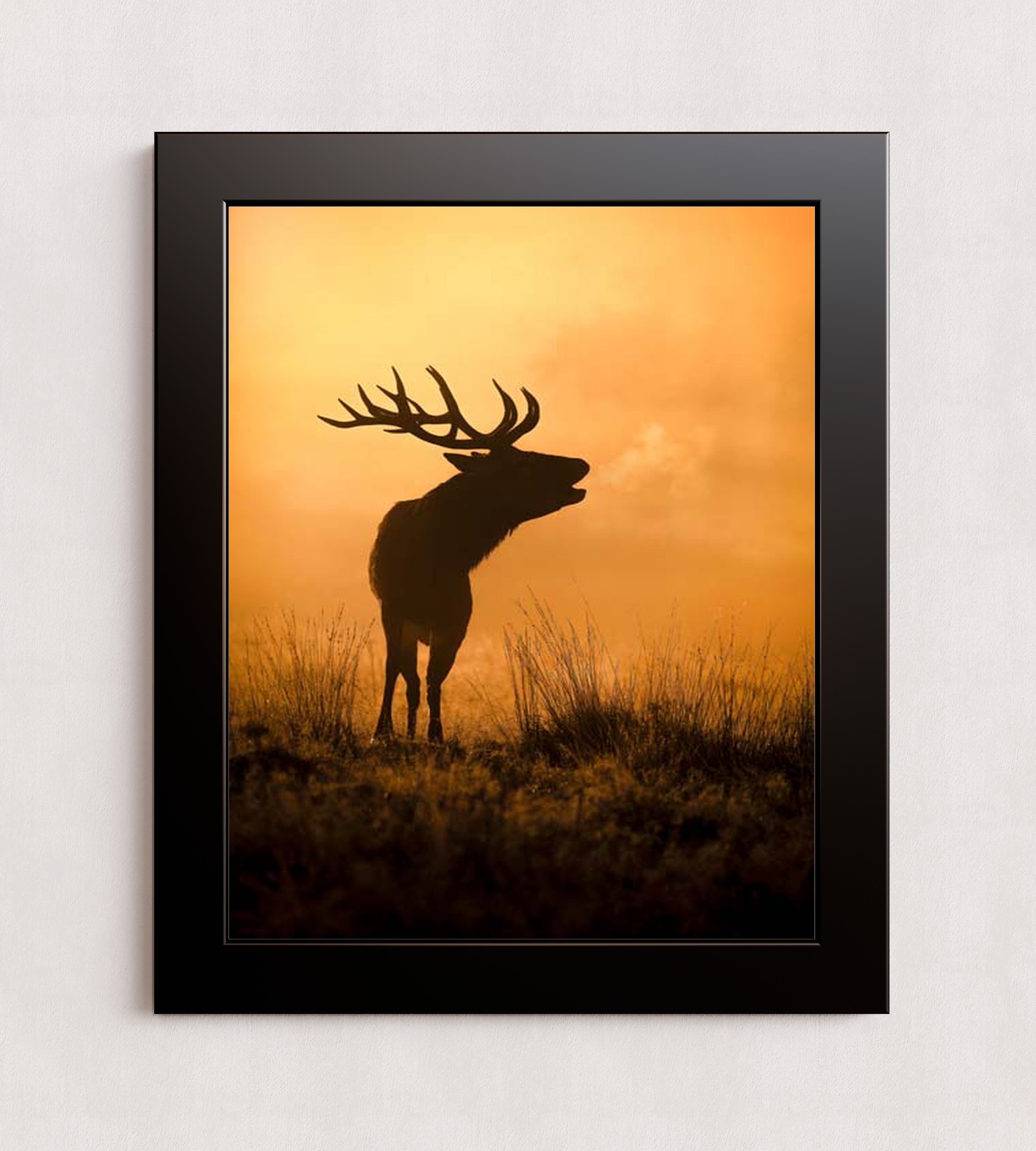 MPPR-BLKF-ACRL-0000-16X20-P01-0189-240806-1XXXXX-079401