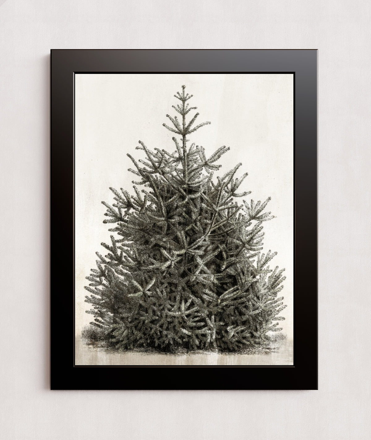 MPPR-BLKF-ACRL-0000-18X24-P00-0107-210126-PISTUX-017101