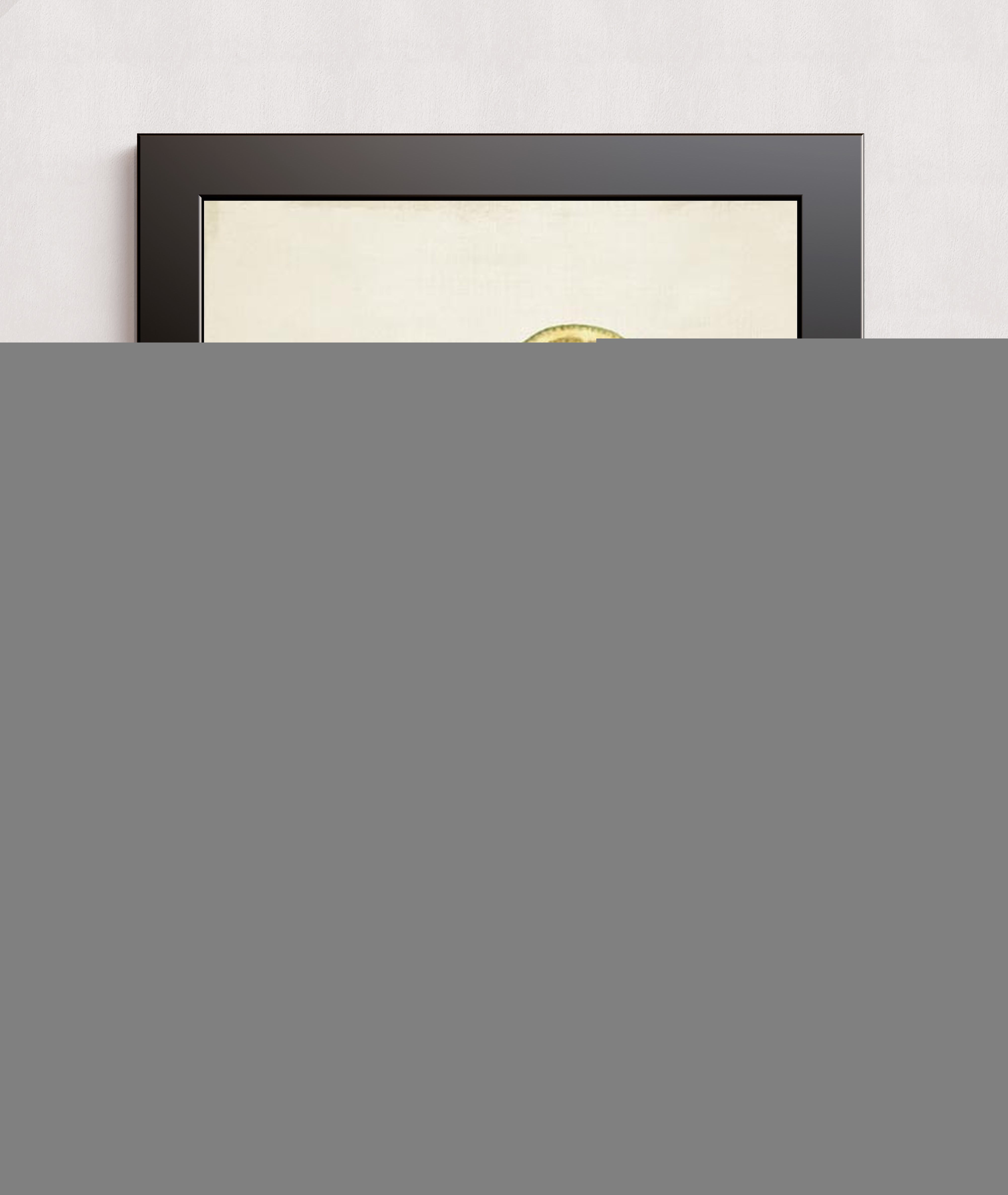 MPPR-BLKF-ACRL-0000-18X24-P00-0214-250520-PICOLX-015401