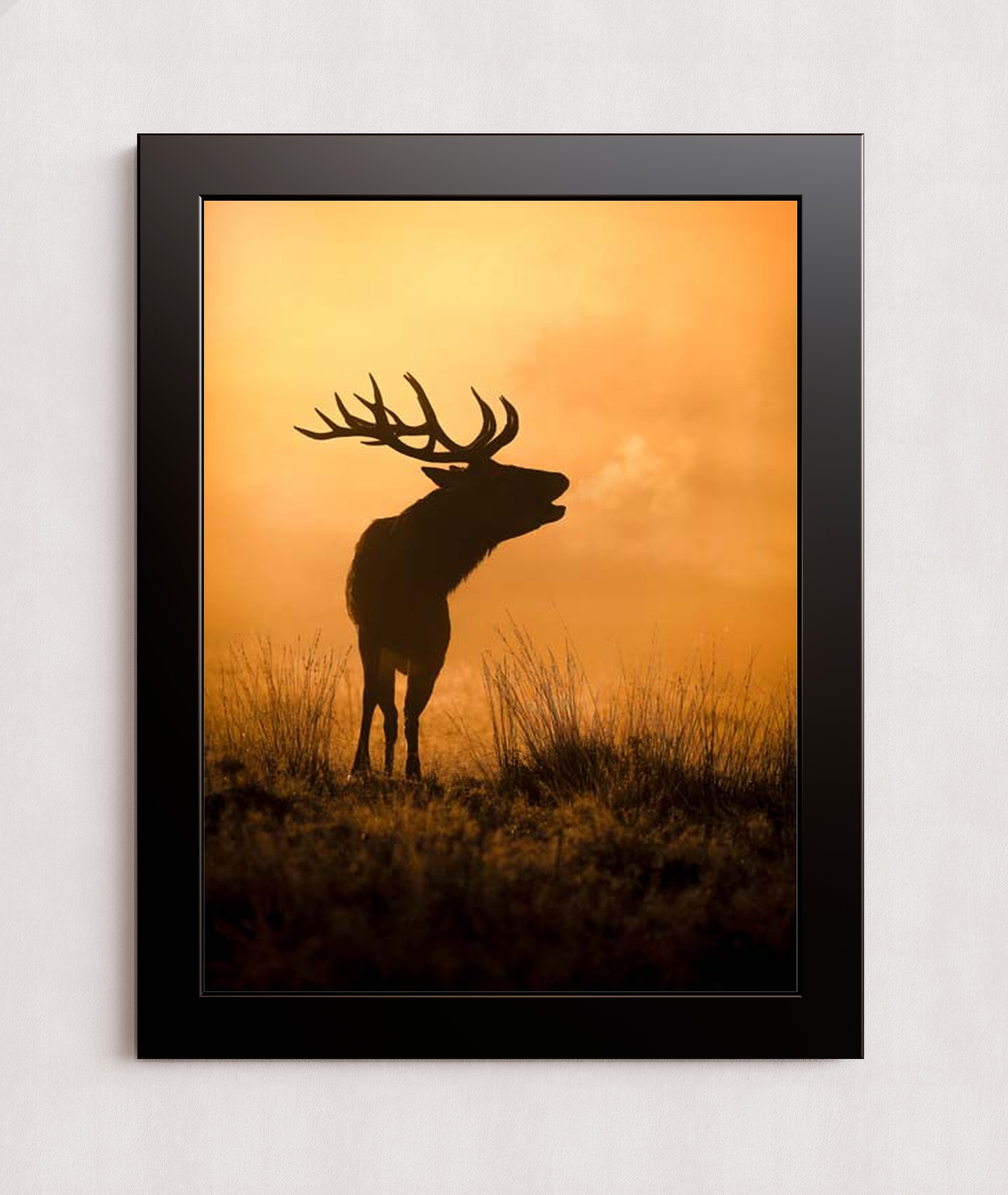 MPPR-BLKF-ACRL-0000-18X24-P01-0189-240806-1XXXXX-079401