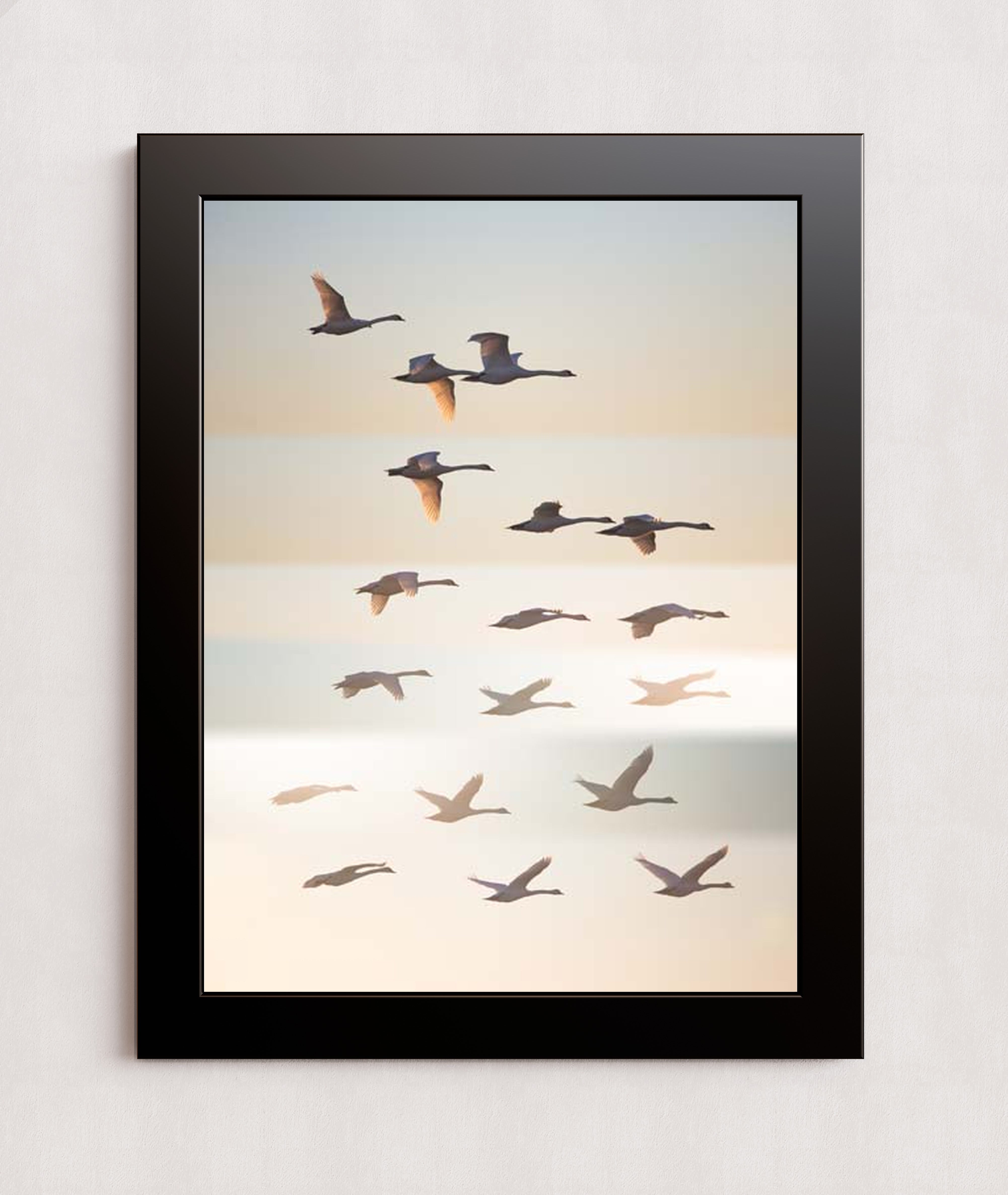 MPPR-BLKF-ACRL-0000-18X24-P01-0190-260602-1XXXXX-171501