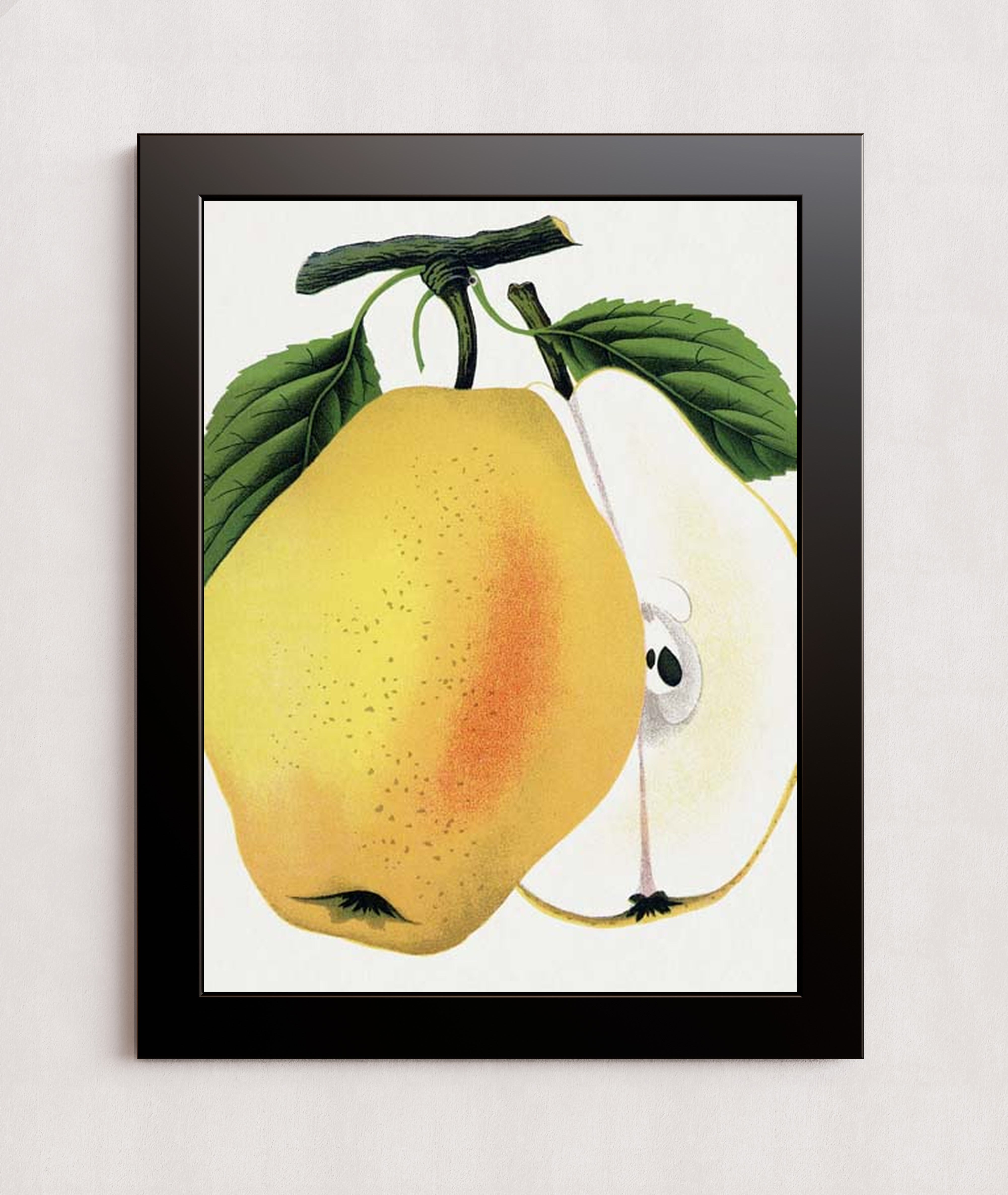 MPPR-BLKF-ACRL-0000-18X24-P01-0190-260615-1XXXXX-176901
