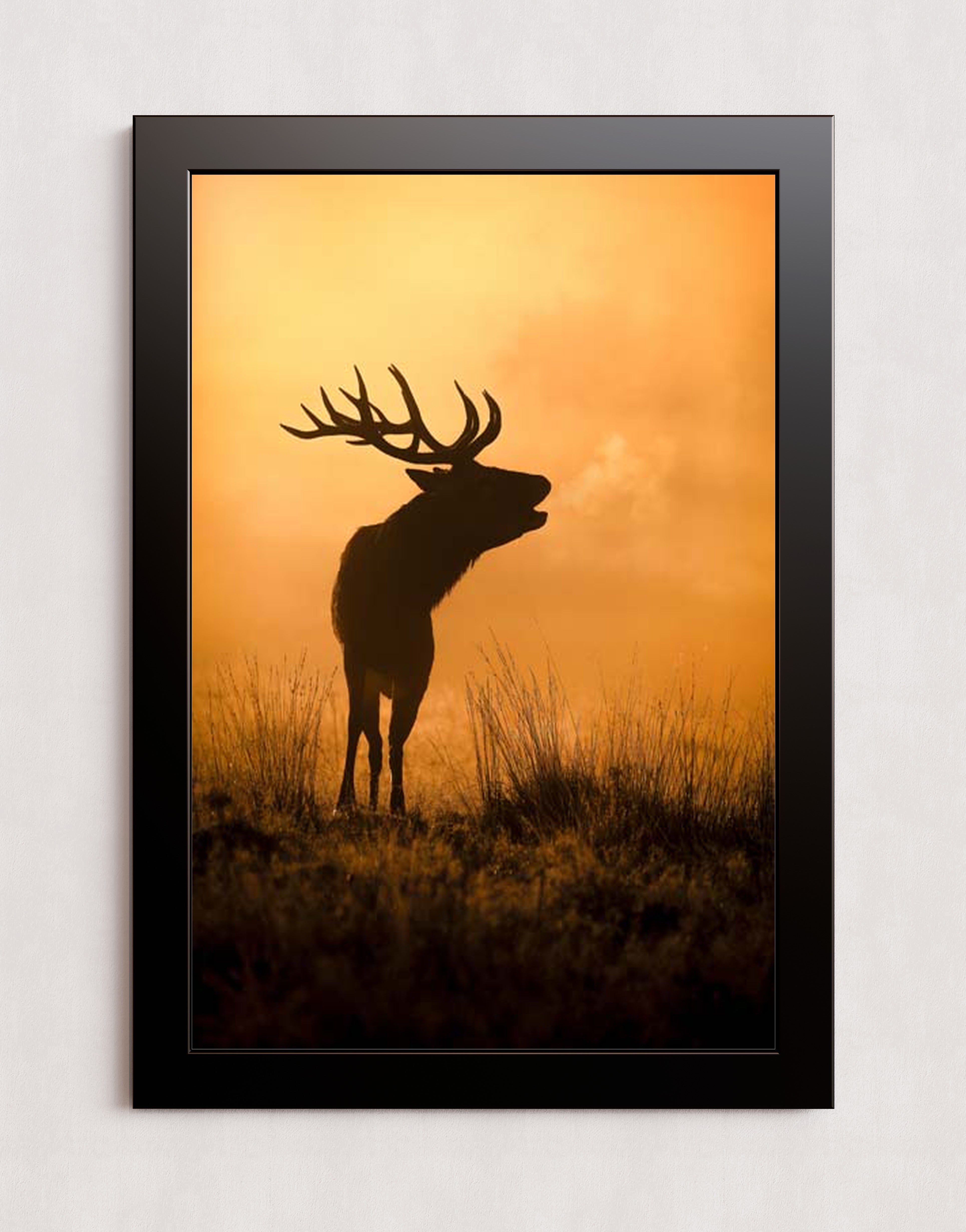 MPPR-BLKF-ACRL-0000-20X30-P01-0189-240806-1XXXXX-079401