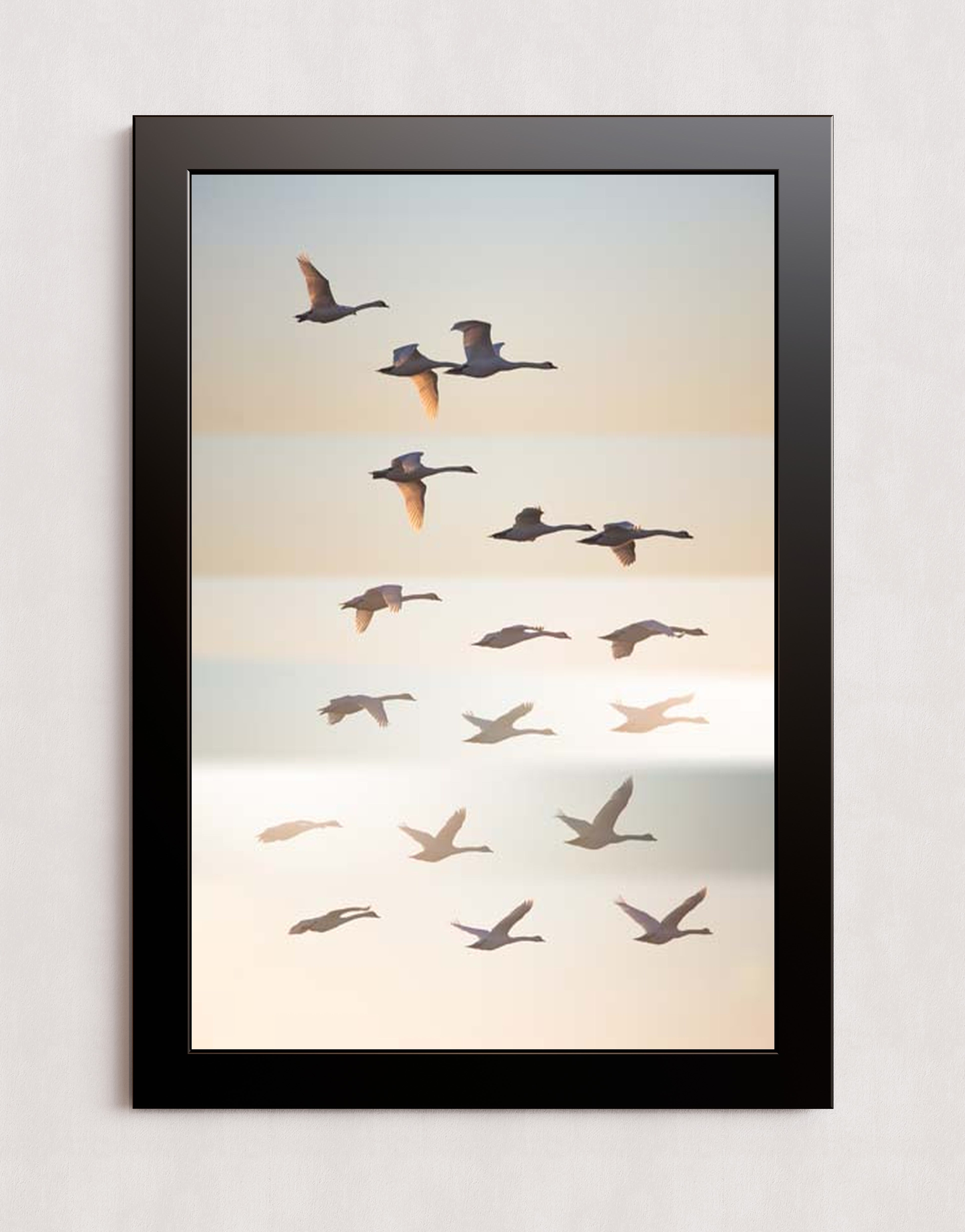 MPPR-BLKF-ACRL-0000-20X30-P01-0190-260602-1XXXXX-171501