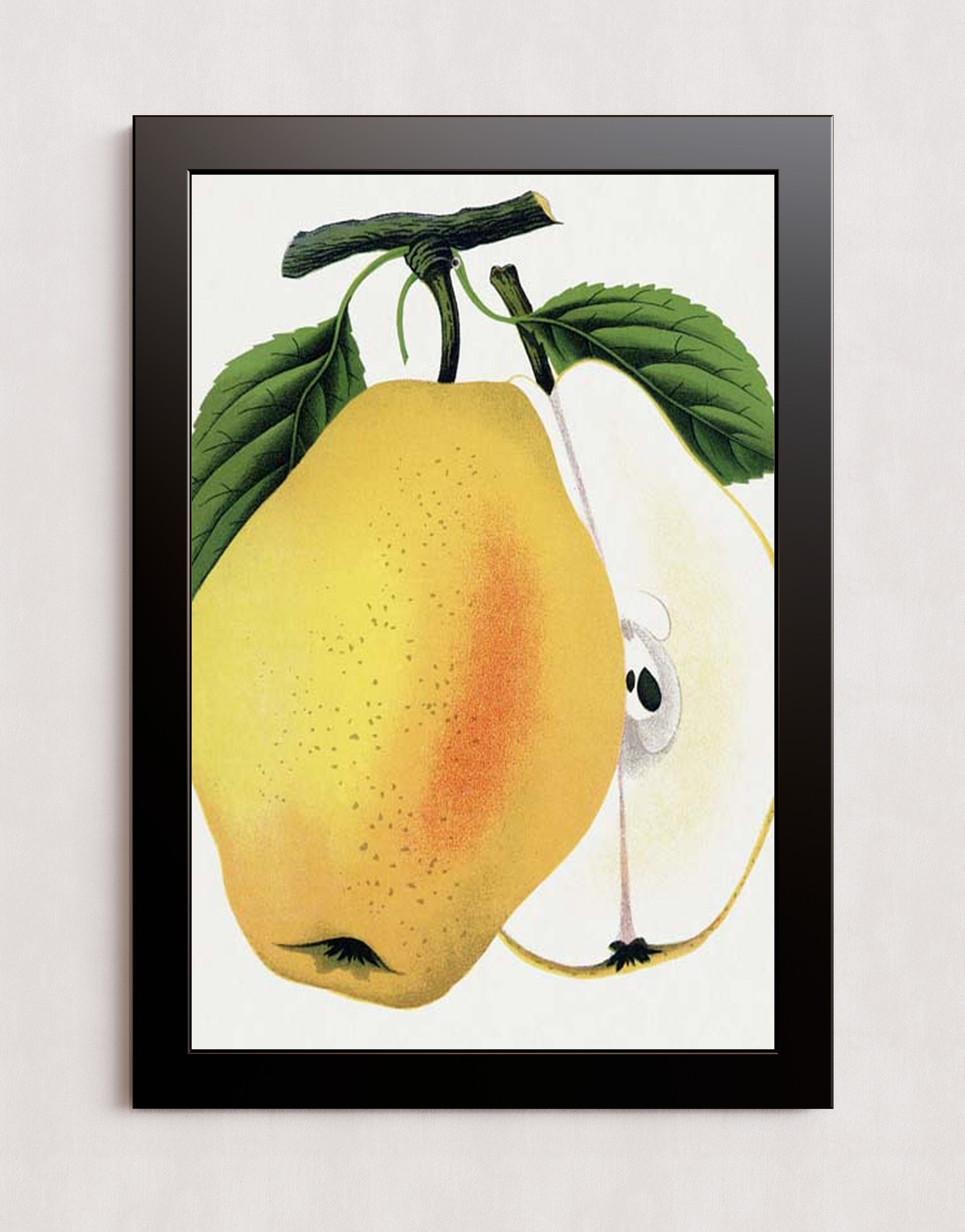 MPPR-BLKF-ACRL-0000-20X30-P01-0190-260615-1XXXXX-176901