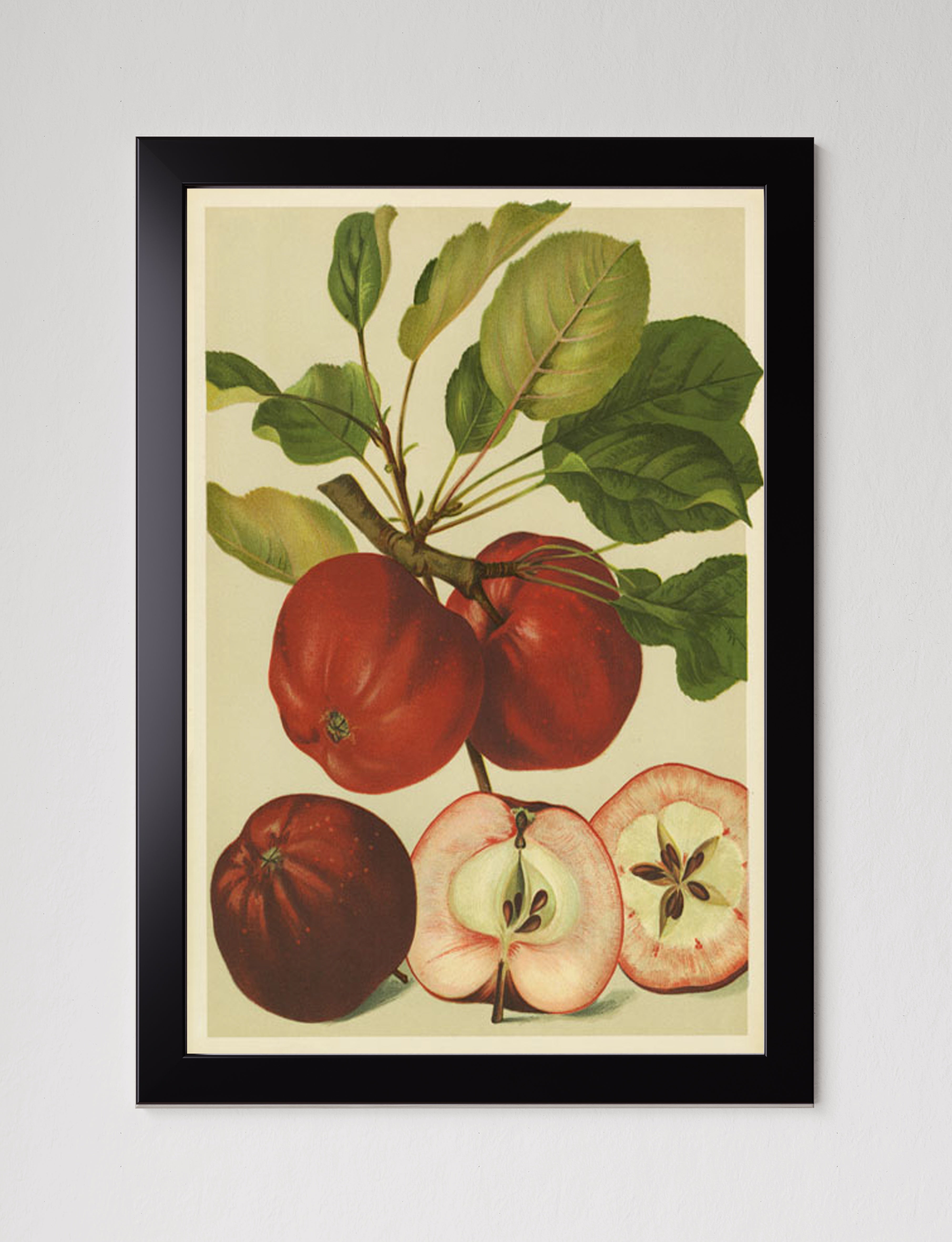 MPPR-BLKF-ACRL-0000-24X36-P00-0214-181025-PICOLX-000601.jpg