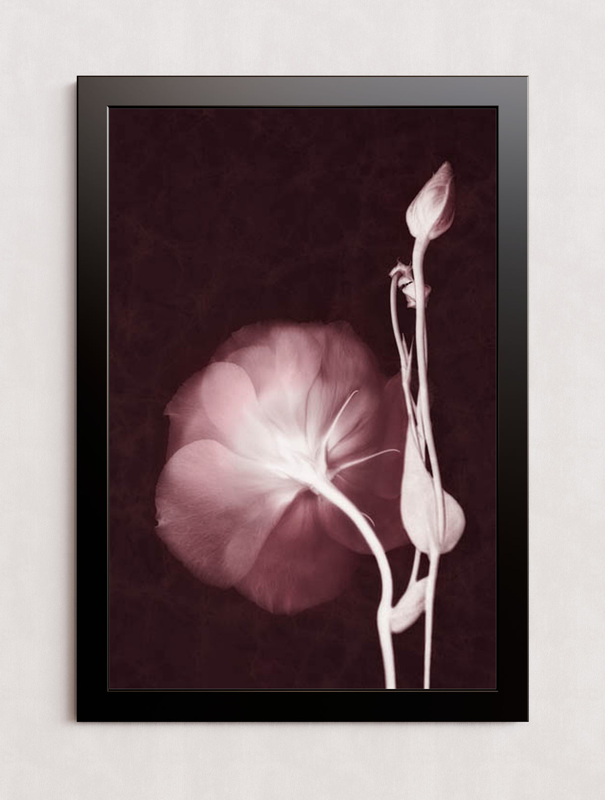 MPPR-BLKF-ACRL-0000-24X36-P01-0148-160816-LEDROB-007001