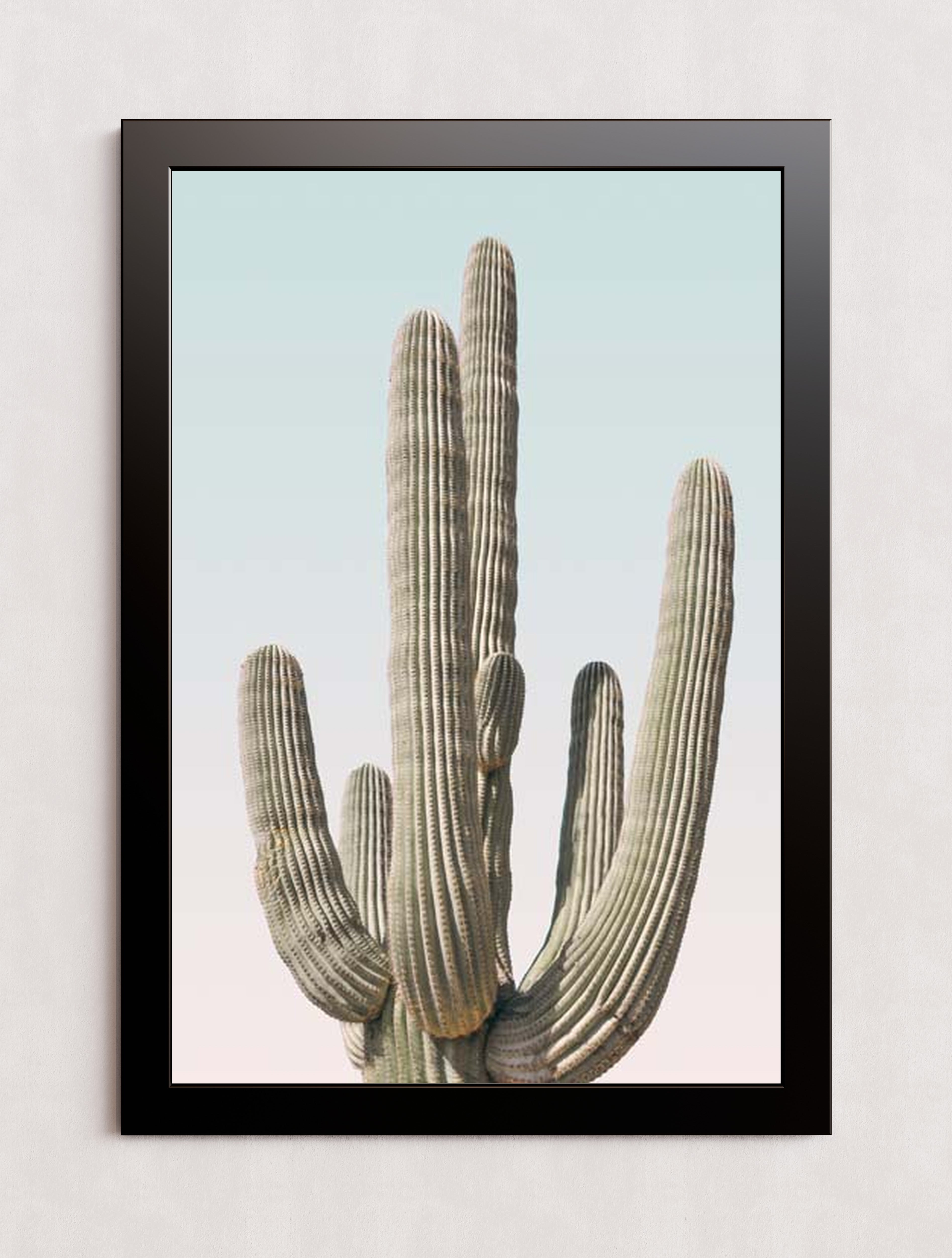MPPR-BLKF-ACRL-0000-24X36-P01-0189-230206-1XXXXX-047902