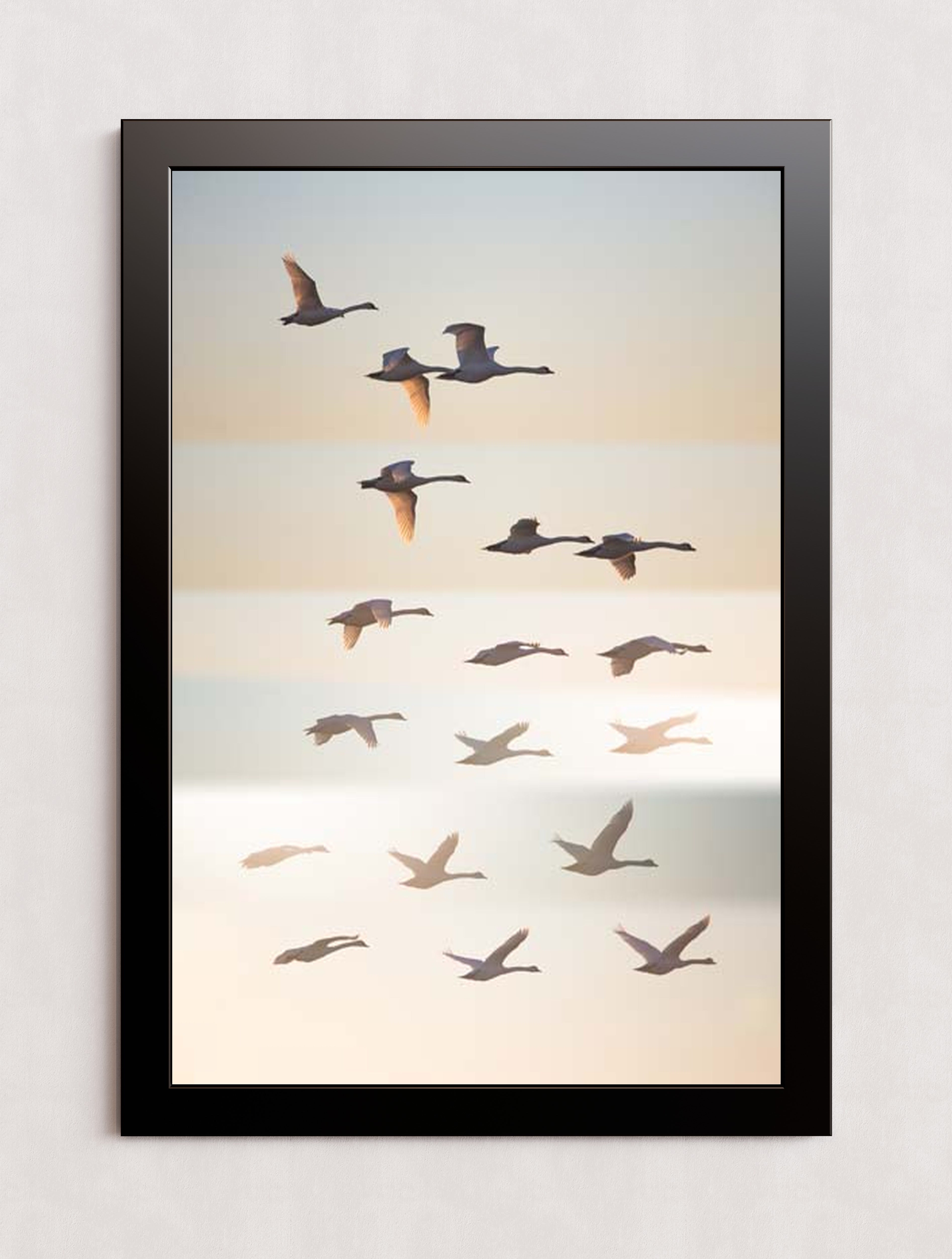 MPPR-BLKF-ACRL-0000-24X36-P01-0190-260602-1XXXXX-171501