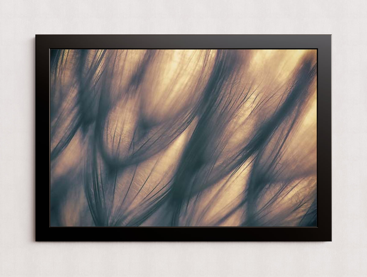 MPPR-BLKF-ACRL-0000-36X24-P01-9998-260904-1XXXX2-018701