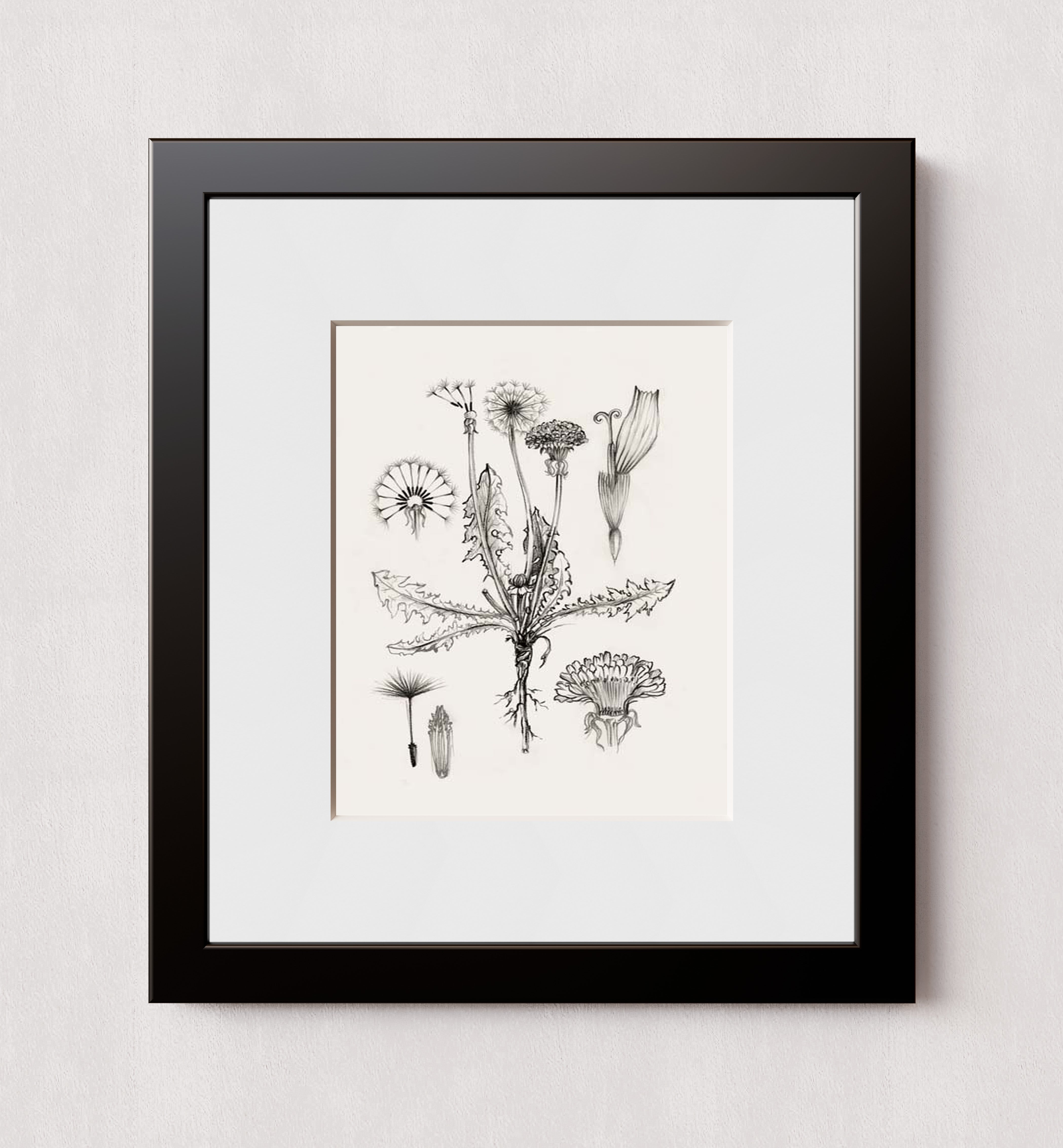 MPPR-BLKF-ACRL-MAT2-08X10-P00-0278-250430-ELIJON-015701