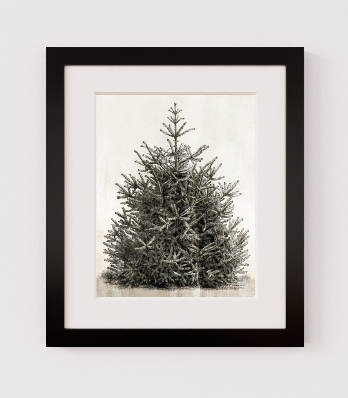 MPPR-BLKF-ACRL-MAT2-11X14-P00-0107-210126-PISTUX-017101