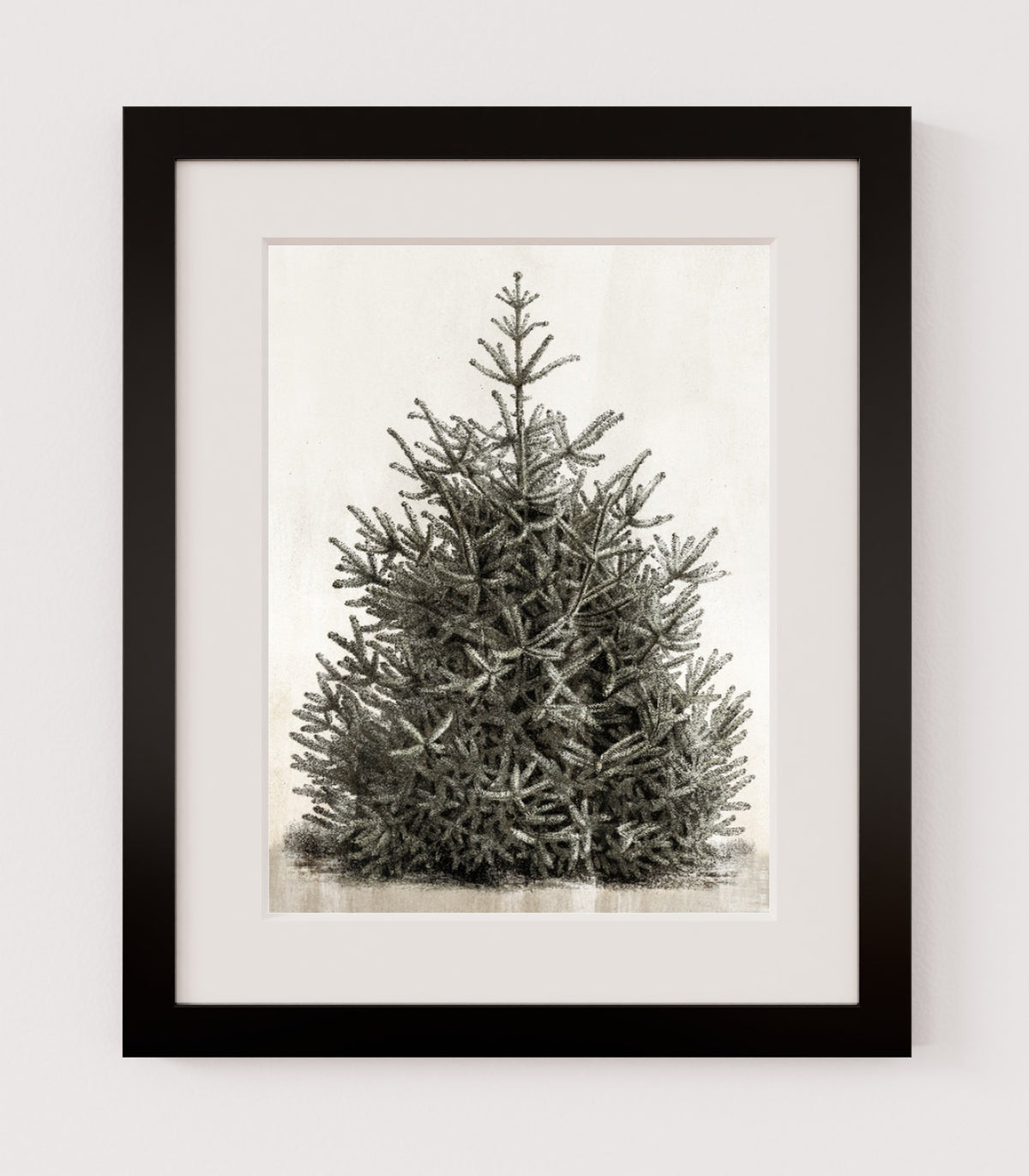 MPPR-BLKF-ACRL-MAT2-12X16-P00-0107-210126-PISTUX-017101