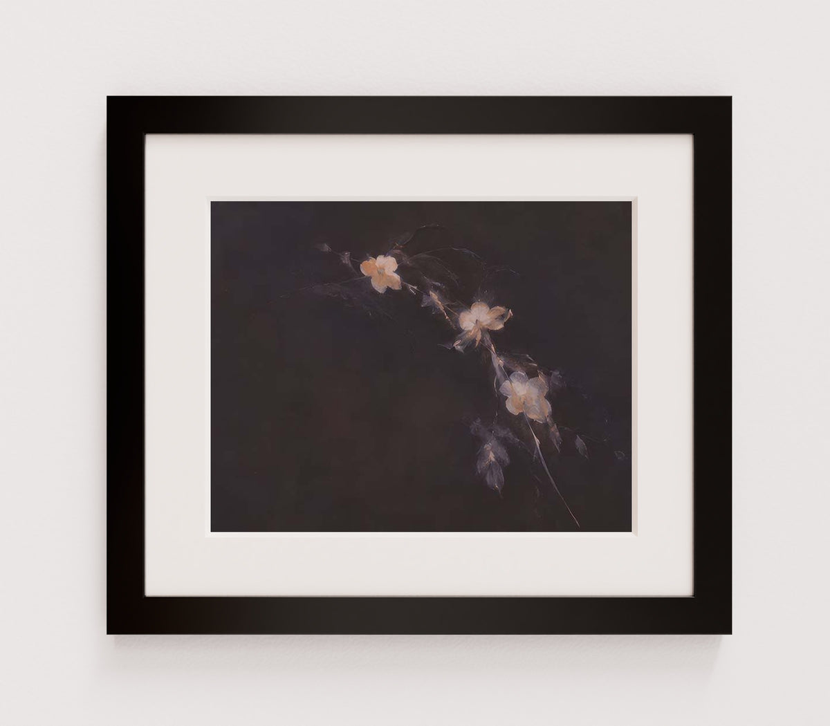 MPPR-BLKF-ACRL-MAT2-14X11-P01-0184-260704-IREORL-061201
