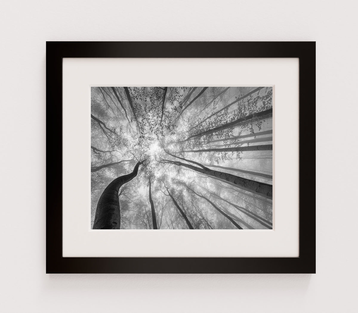MPPR-BLKF-ACRL-MAT2-14X11-P01-9998-260904-1XXXX2-018301