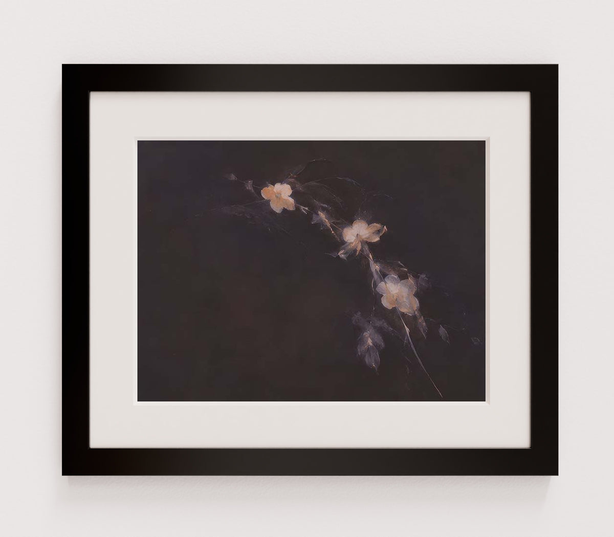 MPPR-BLKF-ACRL-MAT2-16X12-P01-0184-260704-IREORL-061201