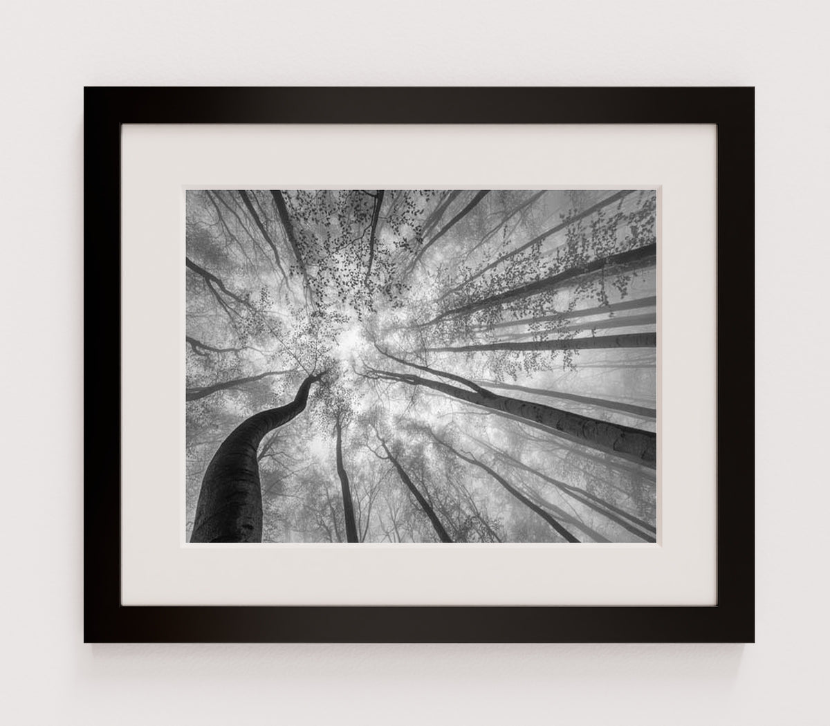 MPPR-BLKF-ACRL-MAT2-16X12-P01-9998-260904-1XXXX2-018301