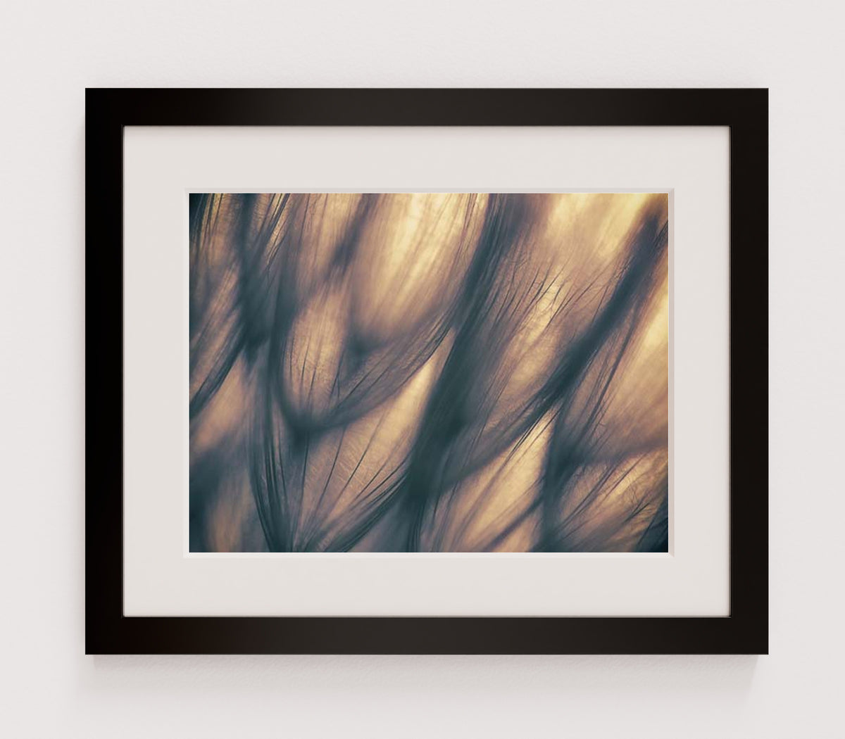 MPPR-BLKF-ACRL-MAT2-16X12-P01-9998-260904-1XXXX2-018701