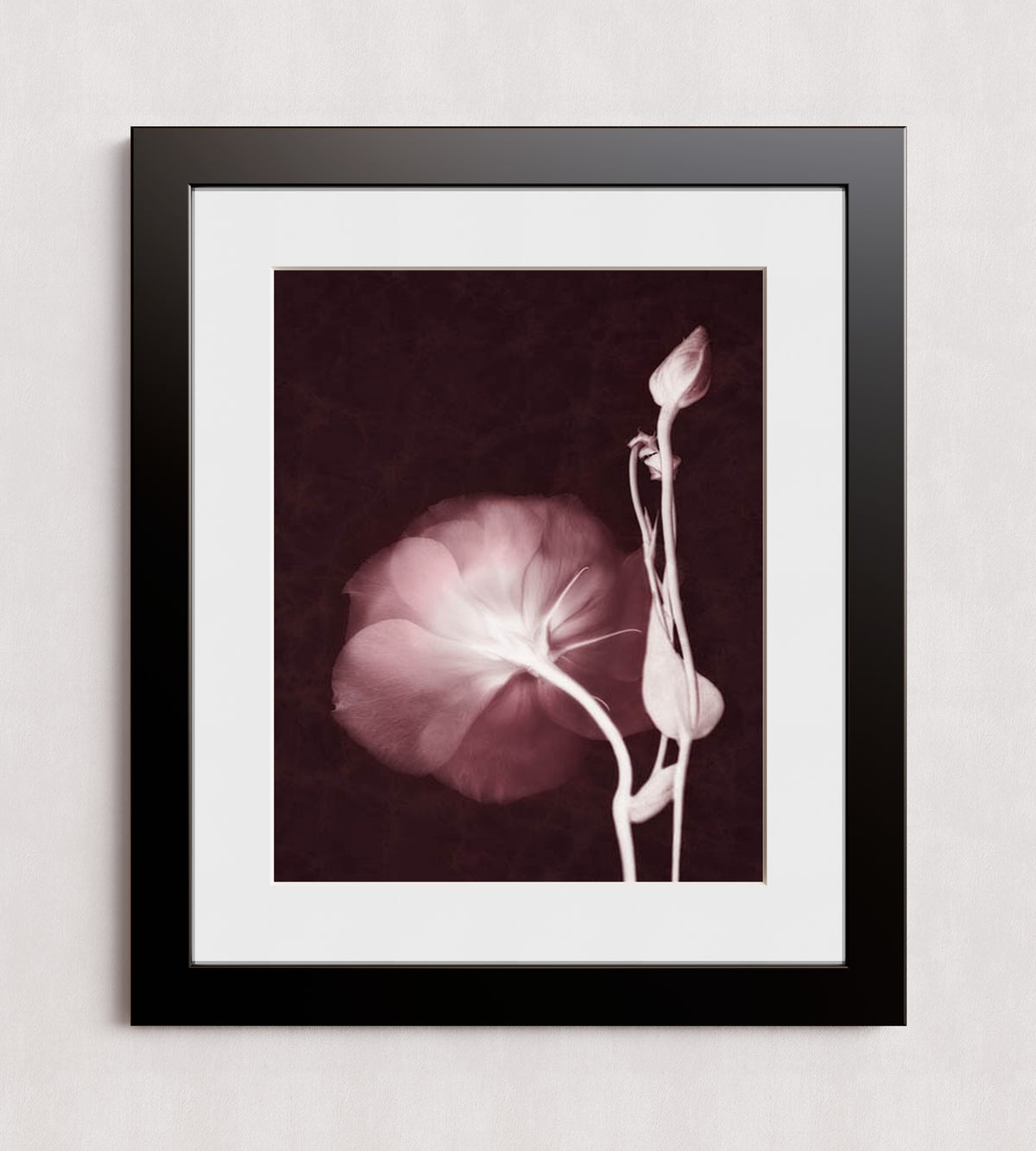 MPPR-BLKF-ACRL-MAT3-16X20-P01-0148-160816-LEDROB-007001