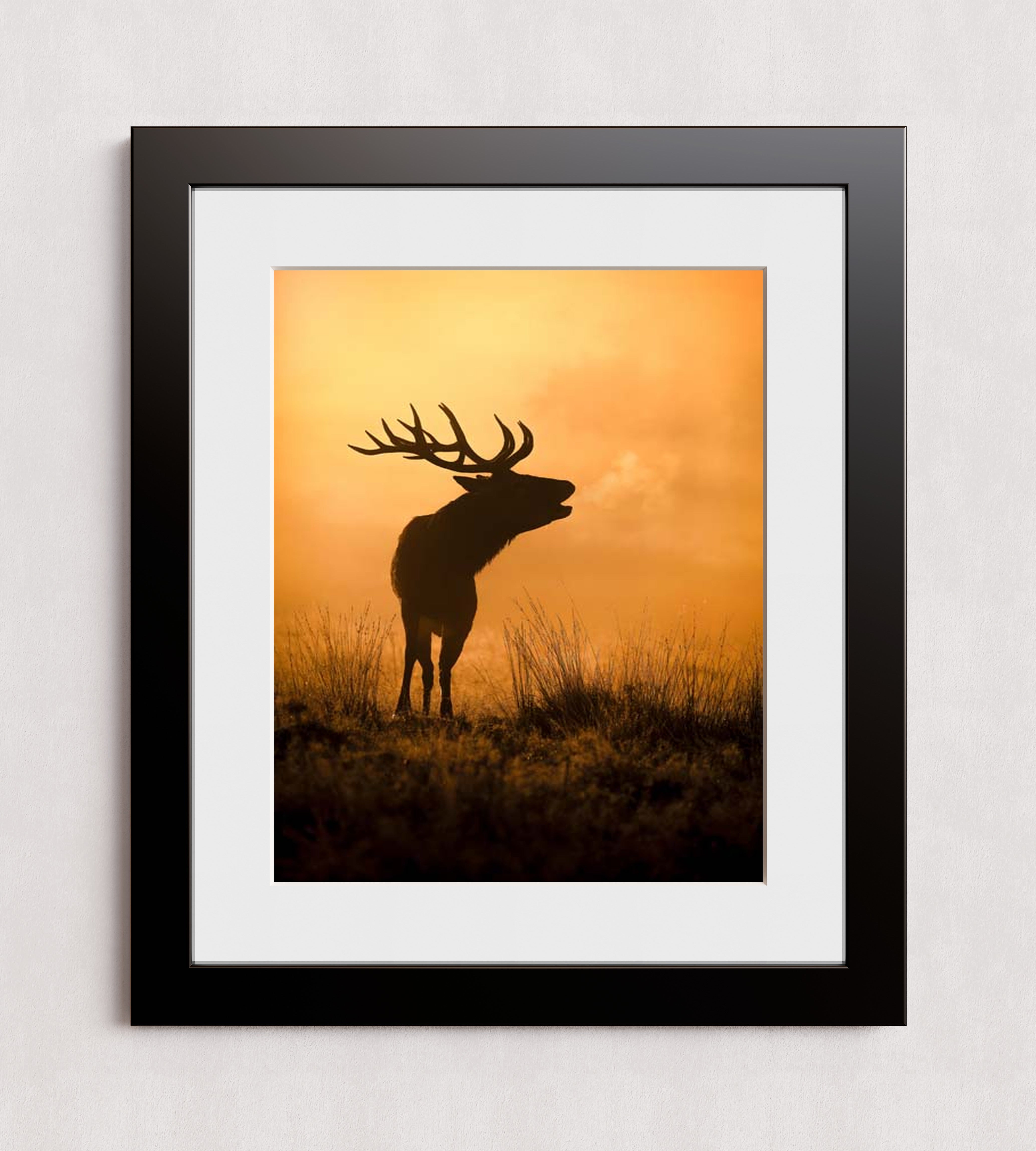 MPPR-BLKF-ACRL-MAT3-16X20-P01-0189-240806-1XXXXX-079401