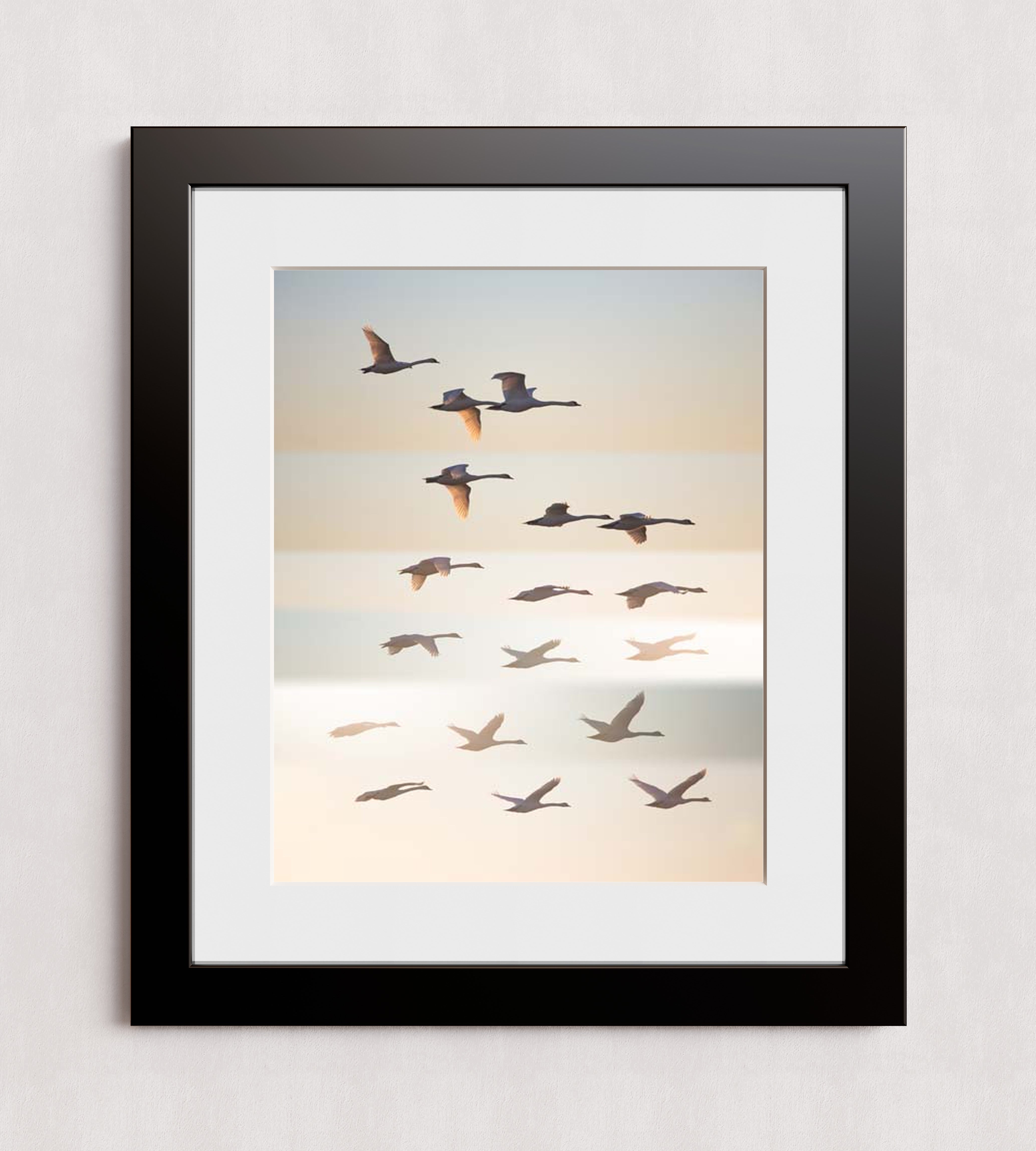 MPPR-BLKF-ACRL-MAT3-16X20-P01-0190-260602-1XXXXX-171501