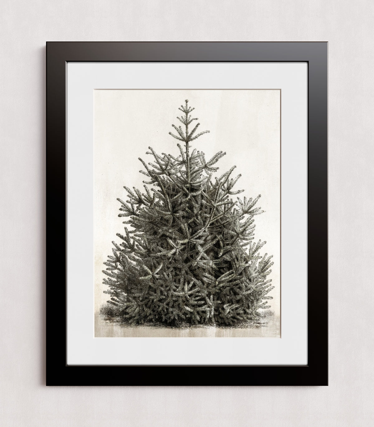 MPPR-BLKF-ACRL-MAT3-18X24-P00-0107-210126-PISTUX-017101