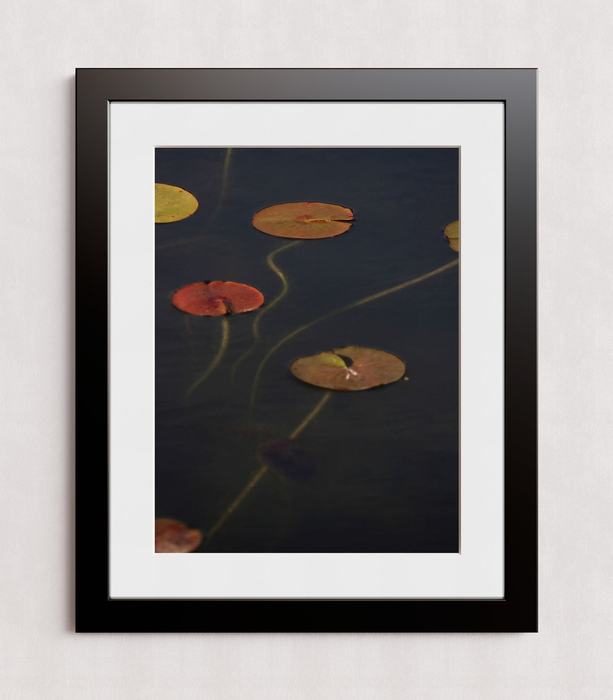 MPPR-BLKF-ACRL-MAT3-18X24-P01-0175-110224-NORSTE-009301