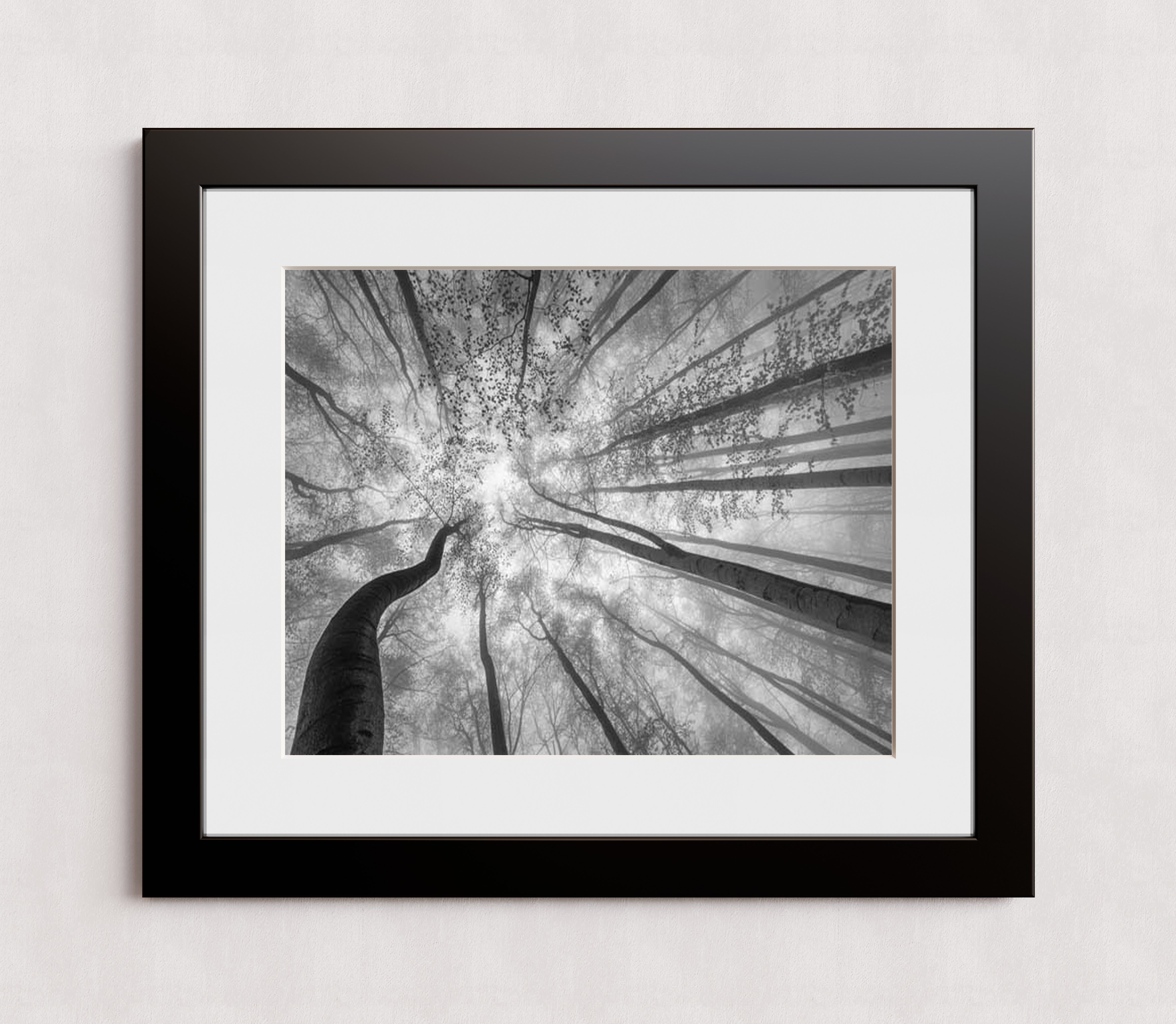 MPPR-BLKF-ACRL-MAT3-20X16-P01-9998-260904-1XXXX2-018301
