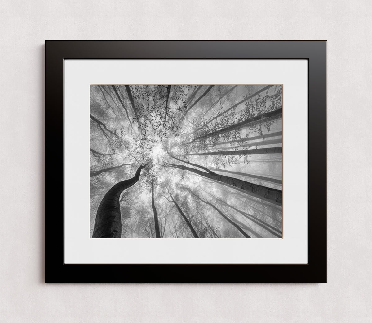 MPPR-BLKF-ACRL-MAT3-20X16-P01-9998-260904-1XXXX2-018301