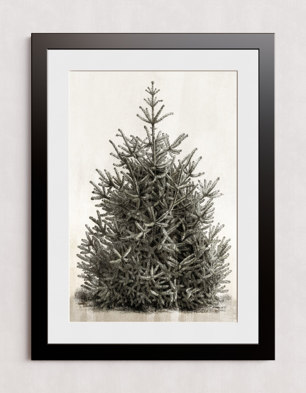 MPPR-BLKF-ACRL-MAT3-20X30-P00-0107-210126-PISTUX-017101