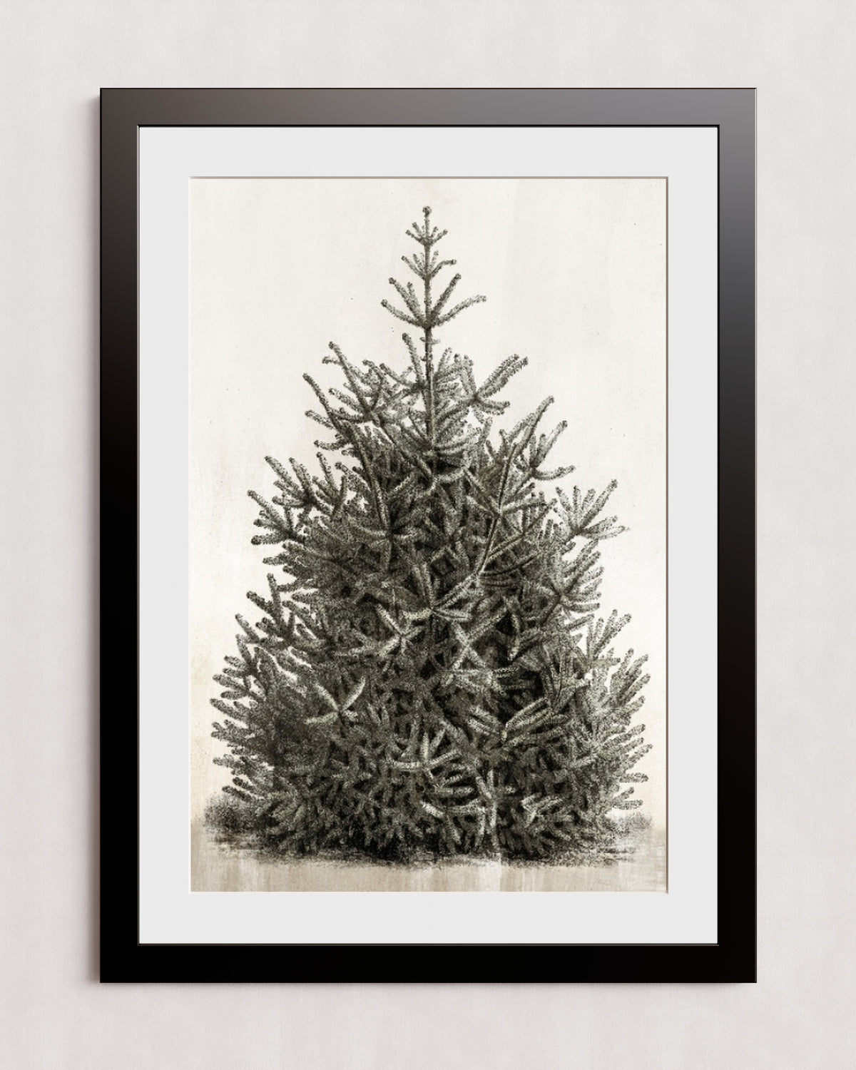 MPPR-BLKF-ACRL-MAT3-24X36-P00-0107-210126-PISTUX-017101