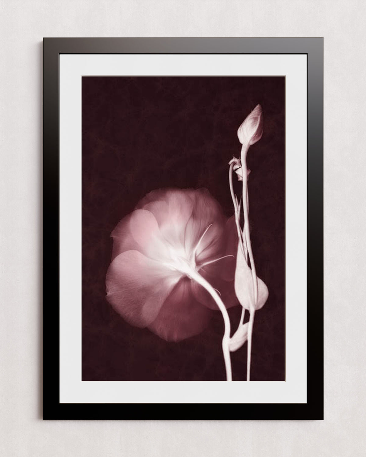 MPPR-BLKF-ACRL-MAT3-24X36-P01-0148-160816-LEDROB-007001